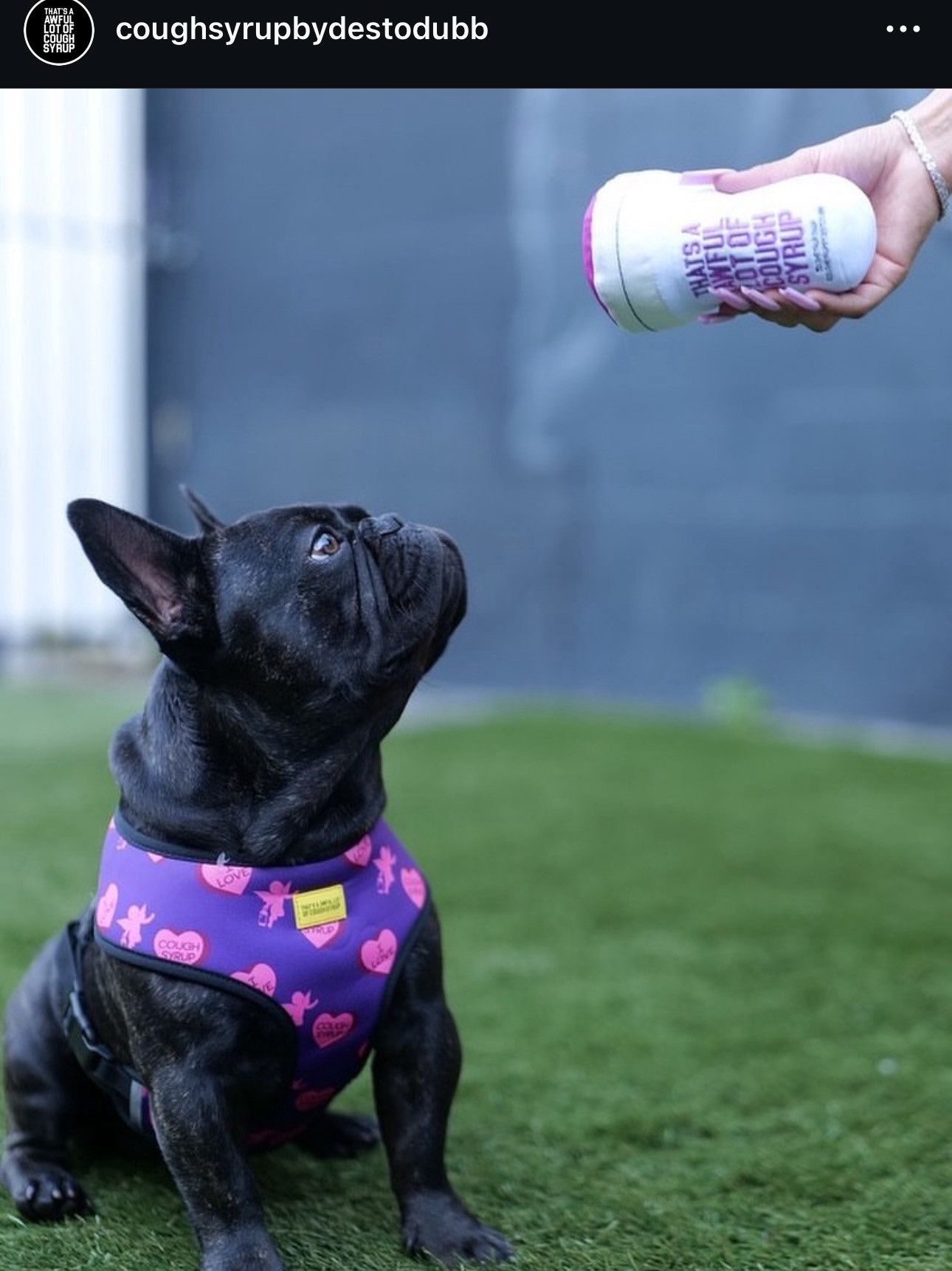 Awful Lot of Cough Syrup Thats awful lot of cough syrup double cup plush/ dog toy Size ONE SIZE - 5 Thumbnail