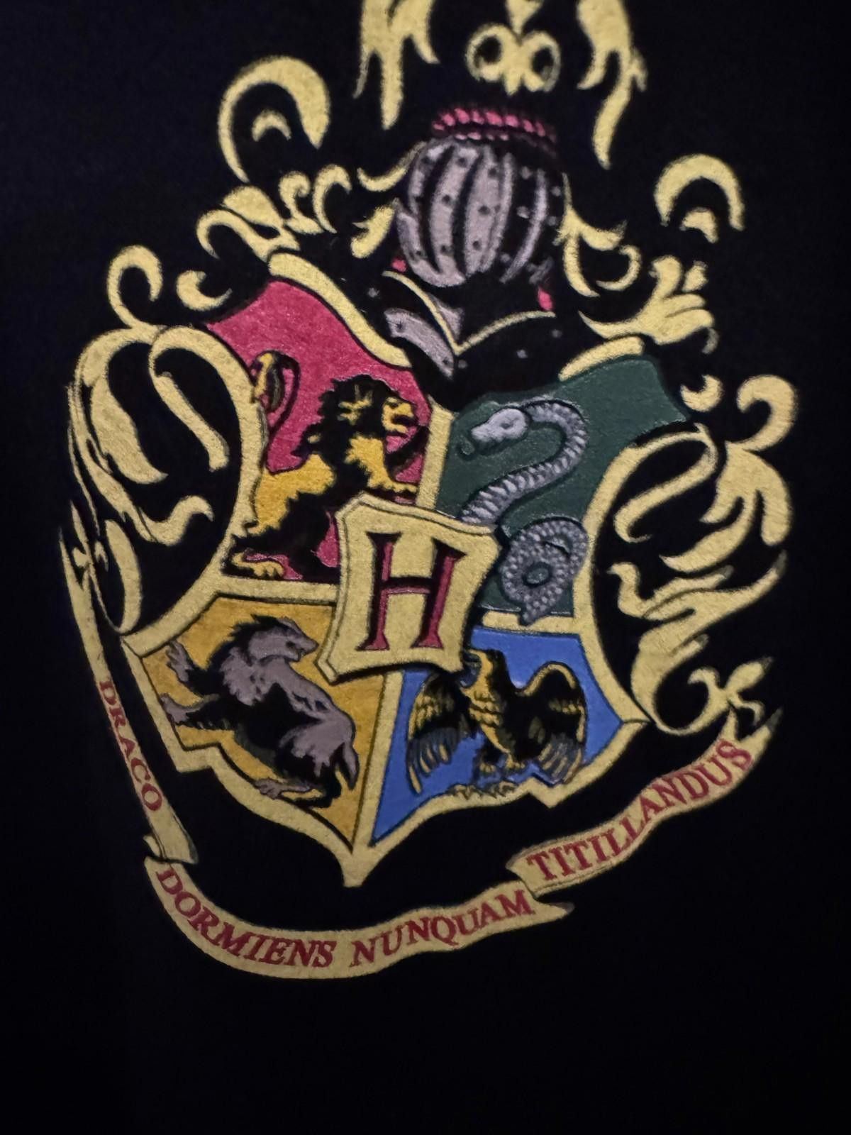 Other Harry Potter Hogwarts TShirt Men Sz L Black NEW WITHOUT TAGS Size US L / EU 52-54 / 3 - 3 Thumbnail