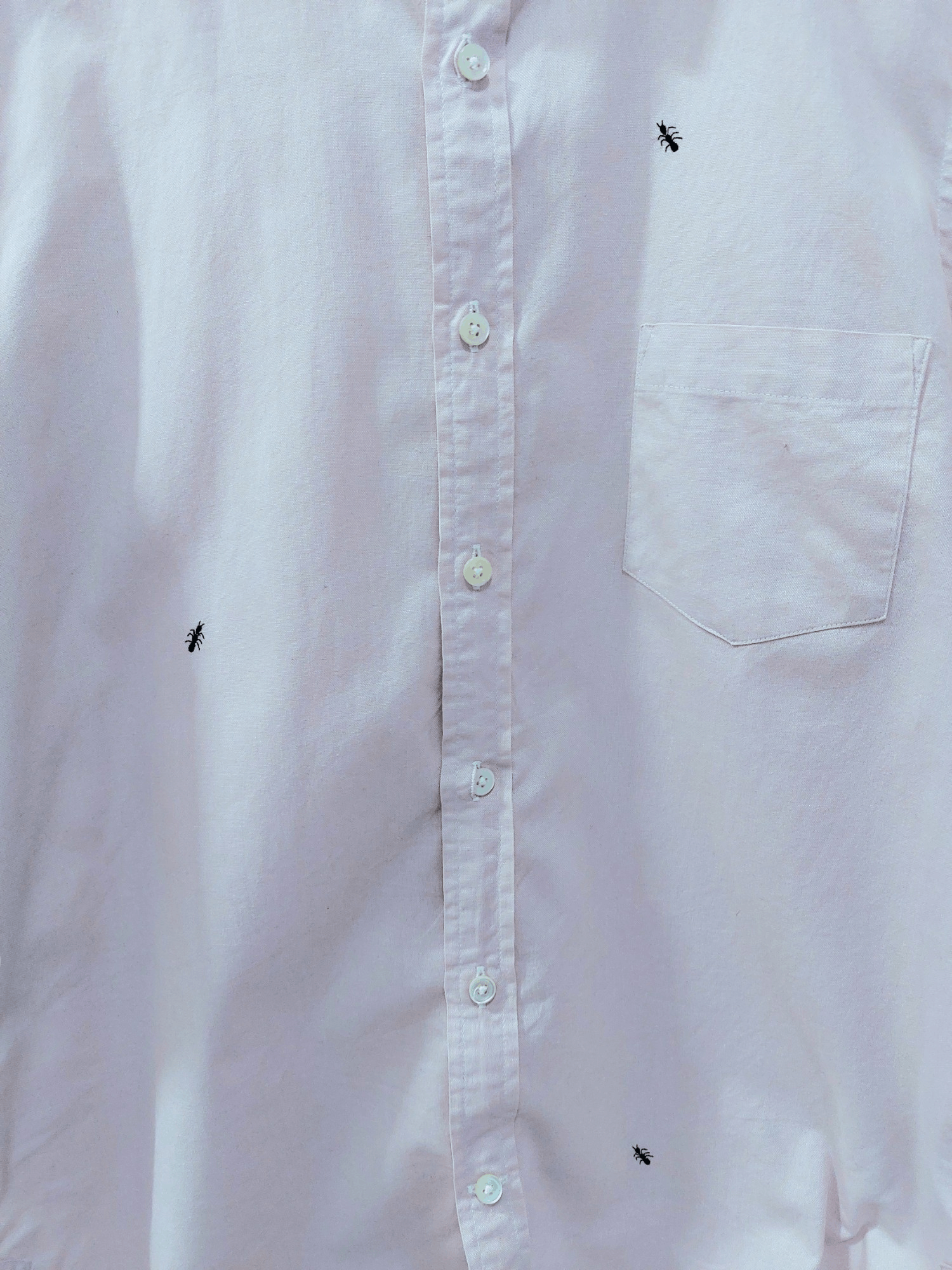Tsumori Chisato Tsumori Chisato Ant Oxford Button Ups Size US M / EU 48-50 / 2 - 8 Thumbnail