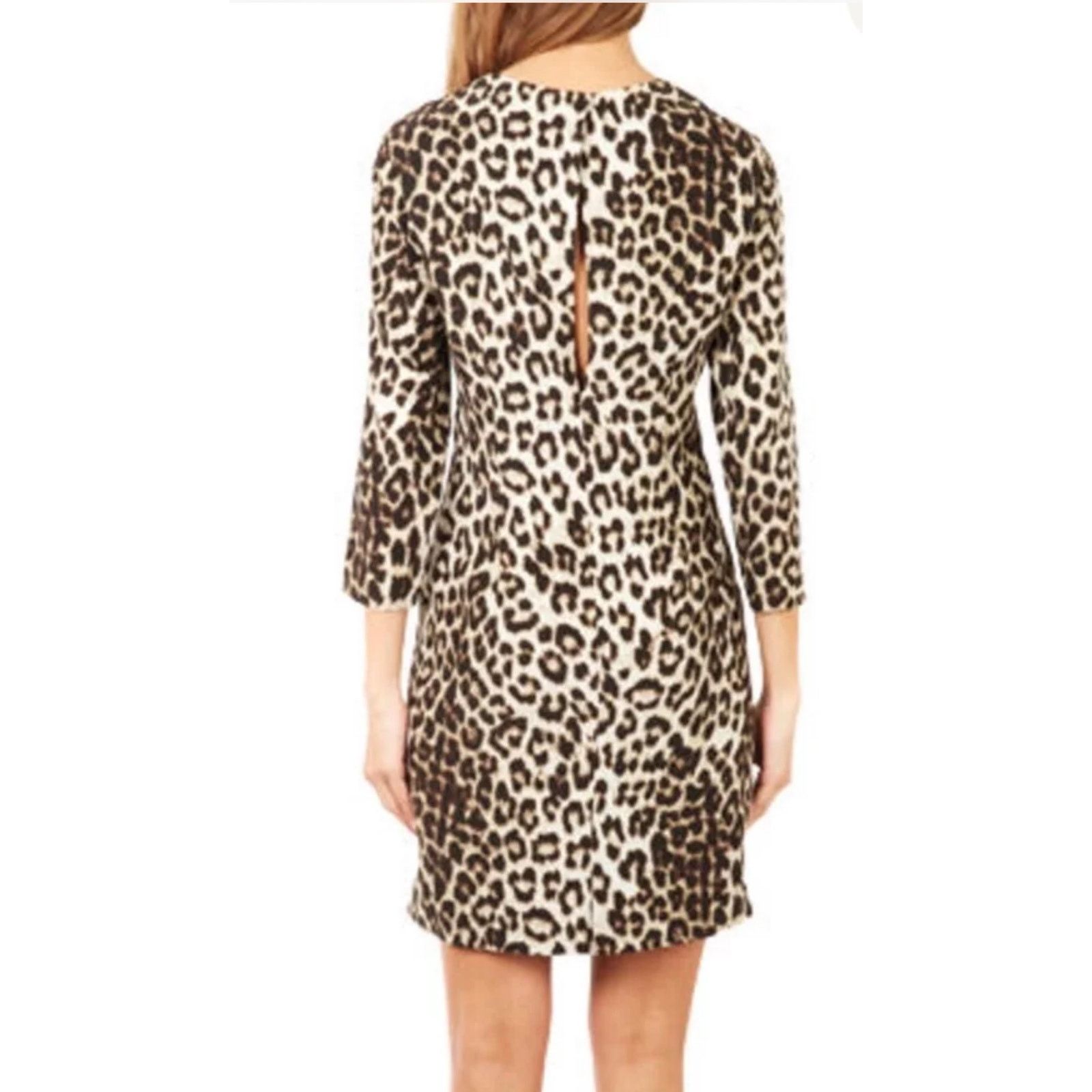 Rag & Bone Rag & Bone Leopard Print Silk Dress sz 2 Size XS / US 0-2 / IT 36-38 - 4 Thumbnail