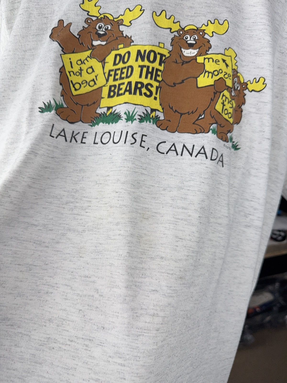 The Mountain Vintage 90s Retro Humour Print Lake Louise CANADA Tee Shirt Size US L / EU 52-54 / 3 - 6 Thumbnail