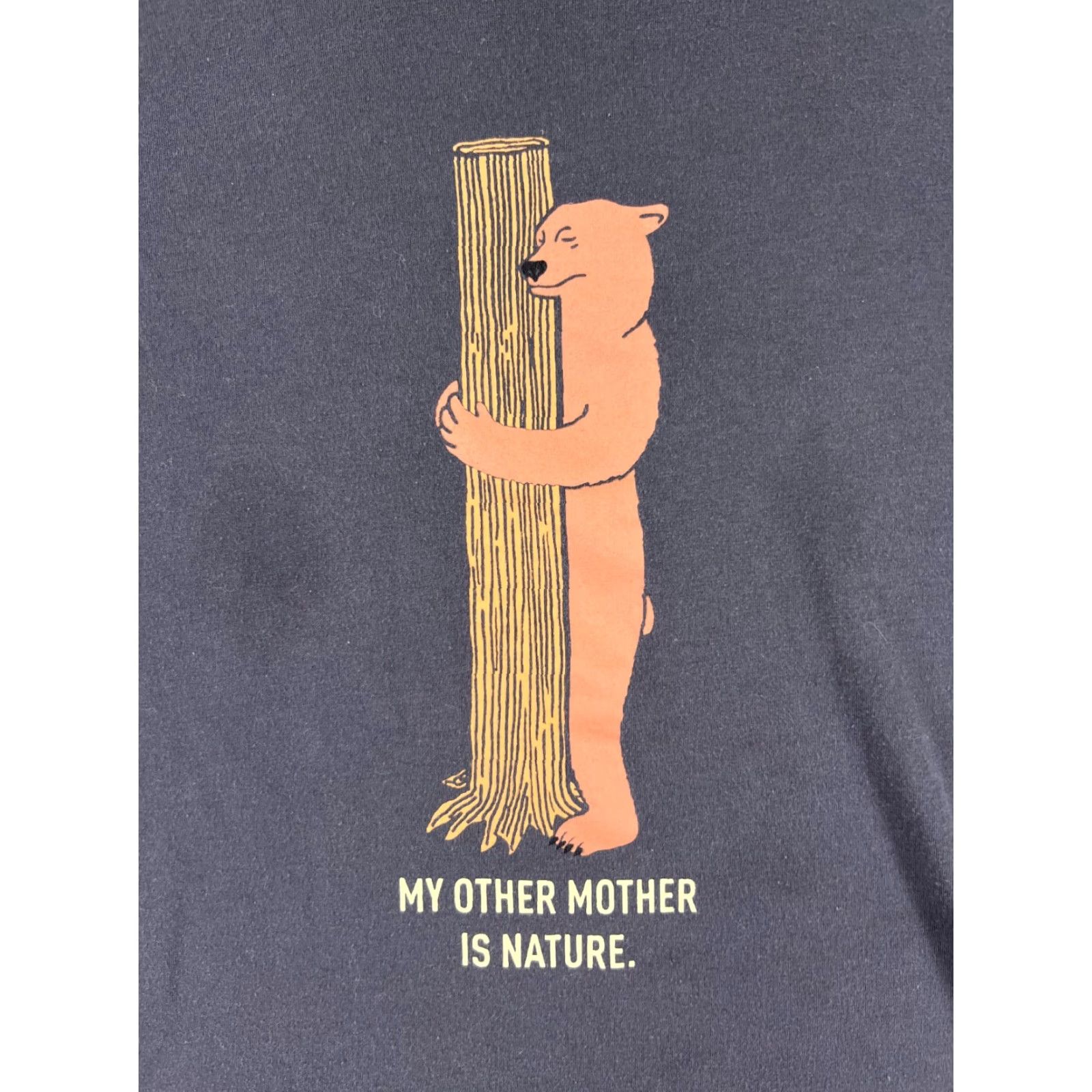 The North Face The North Face Shirt Men Small Gray My Other Mother Is Nature Tree hugger Bear Shirt Mens Small Gray Nature Logo 90s (if applicable) Size US S / EU 44-46 / 1 - 6 Thumbnail