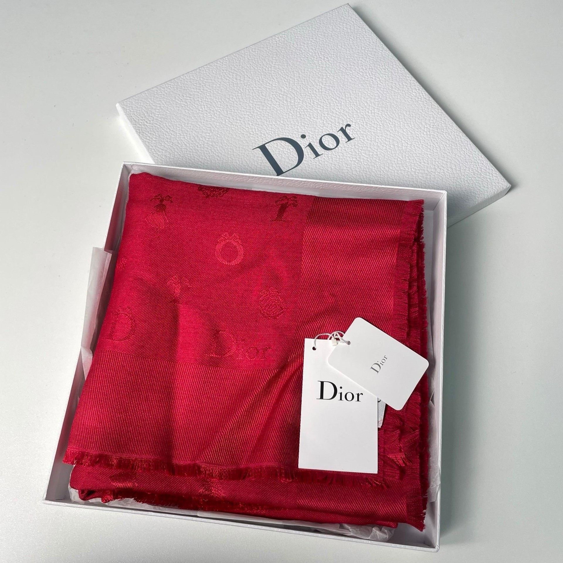 Dior Dior Embroidered Red Scarf M Men Size ONE SIZE - 1 Thumbnail