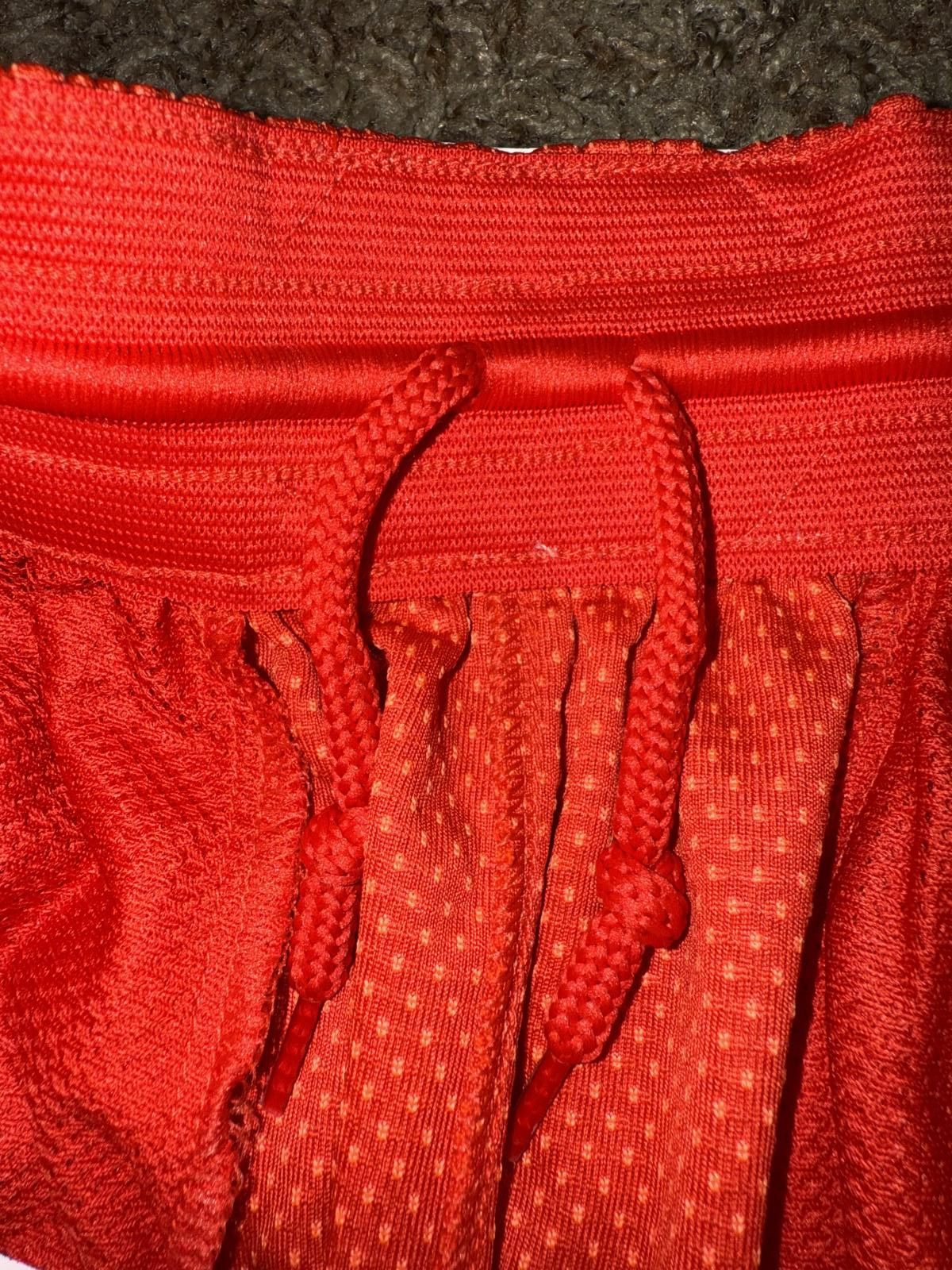 Nike Nike Men’s Canada Limited Nike Basketball Shorts Sample Size US 28 / EU 44 - 10 Thumbnail