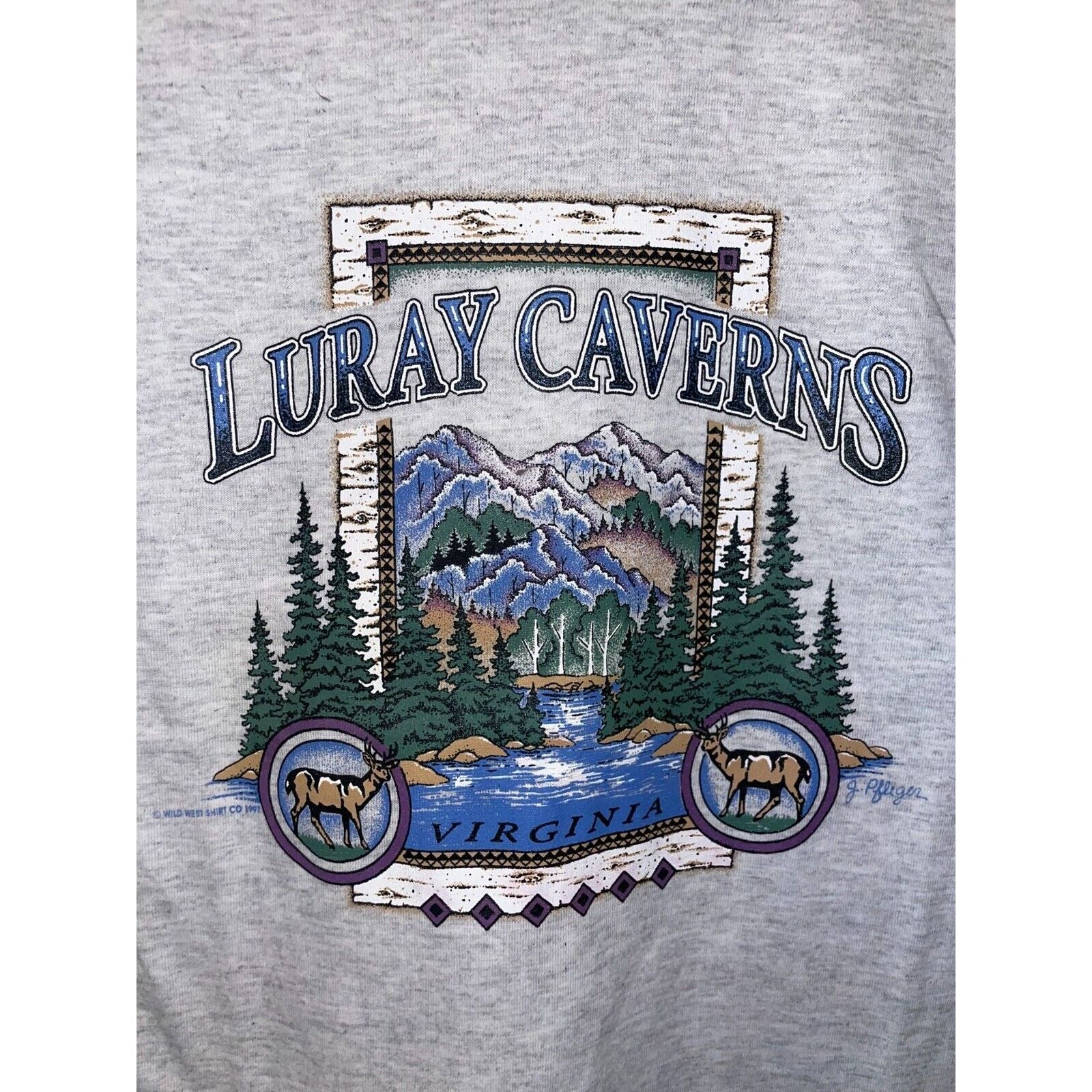Signal Sport Vintage Luray Caverns Shirt Virginia Gray Nature Tee VTG 90s Size US S / EU 44-46 / 1 - 2 Thumbnail