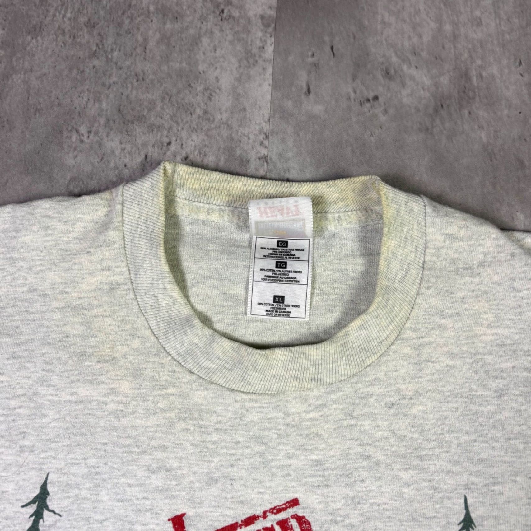 Vintage VINTAGE Capilano Suspension Bridge I Survived T-Shirt Gray XL North Vancouver Men Graphic Tee 1990s Size US XL / EU 56 / 4 - 6 Thumbnail