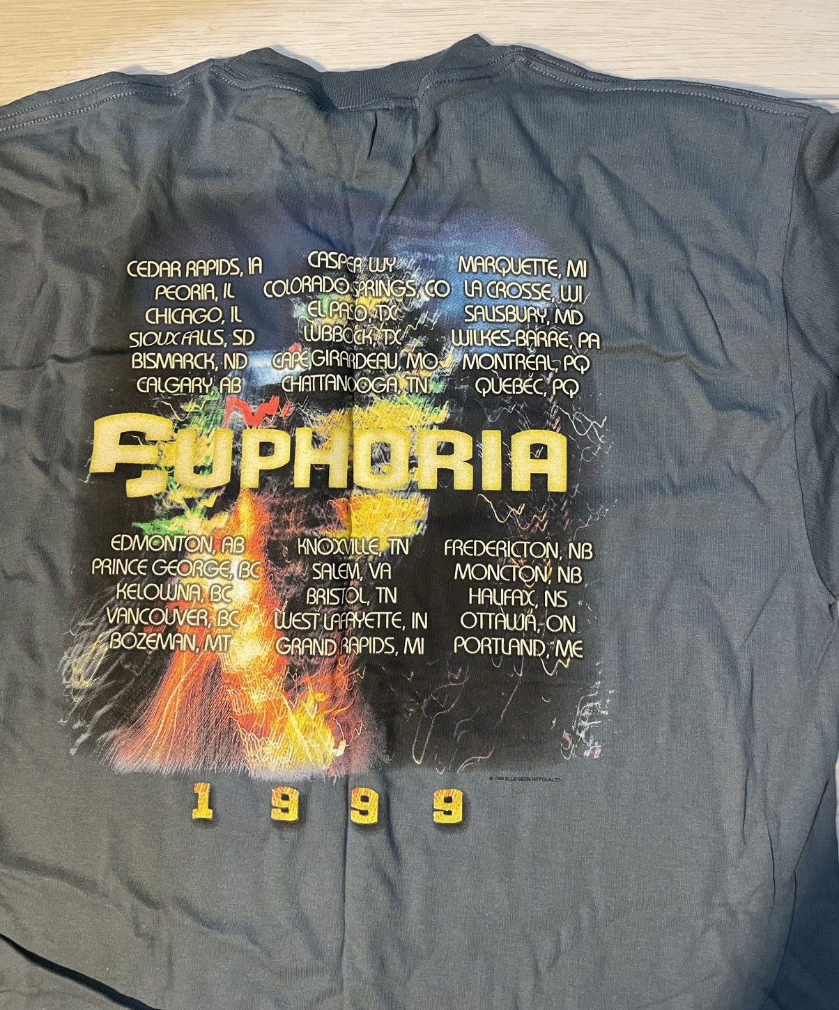 Vintage Def Leppard 1999 Euphoria Tour LARGE Shirt Vintage 90s RARE Size US L / EU 52-54 / 3 - 4 Thumbnail