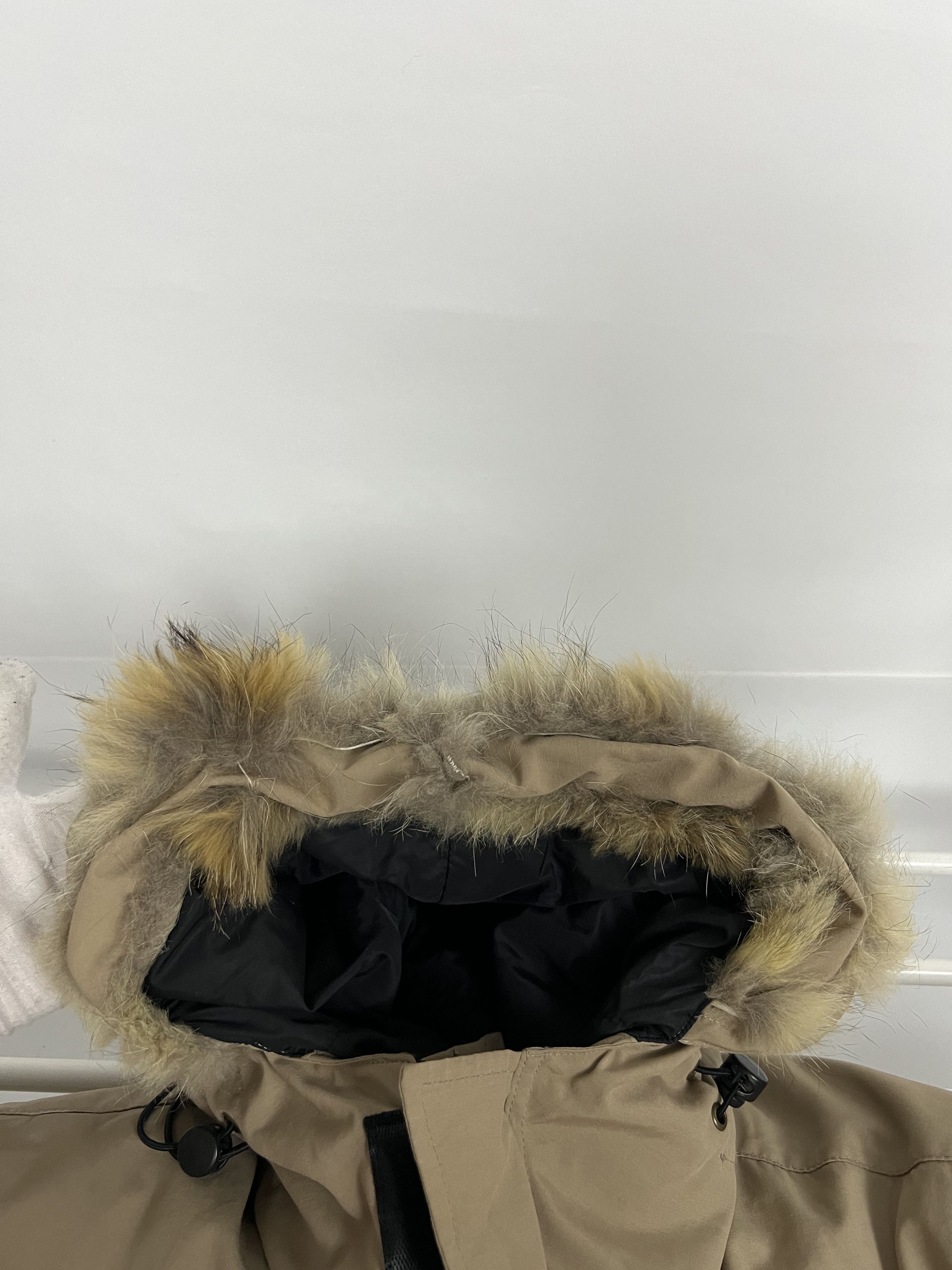 Canada Goose Canada Goose expidition parka size L-XL Size US L / EU 52-54 / 3 - 9 Thumbnail