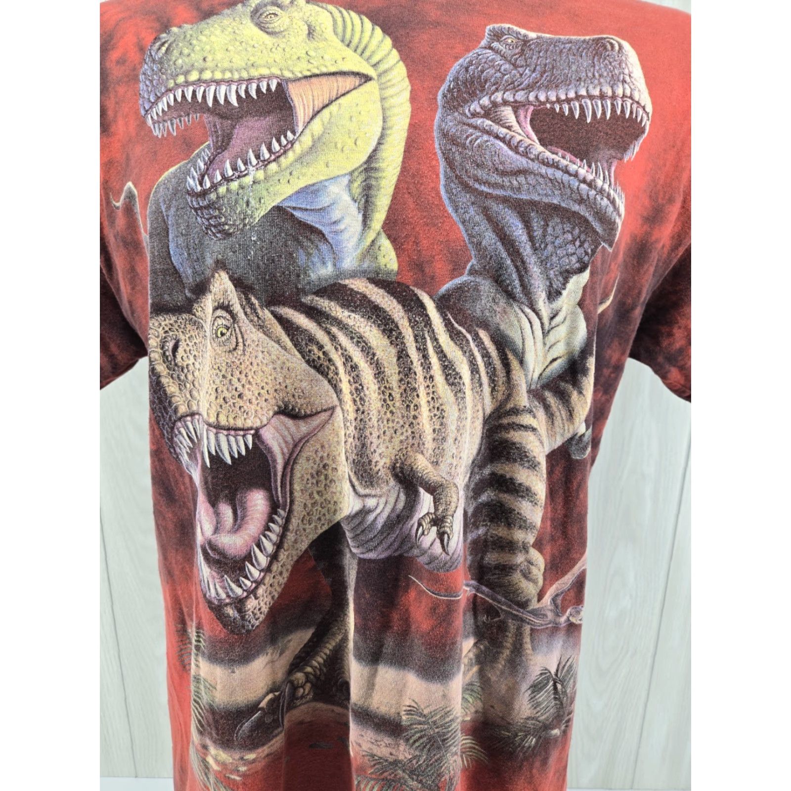 The Mountain VINTAGE The Mountain Dino T Shirt Men’s Red Tye Die Riplys Aquarium TN Smokies Large Size US L / EU 52-54 / 3 - 3 Thumbnail