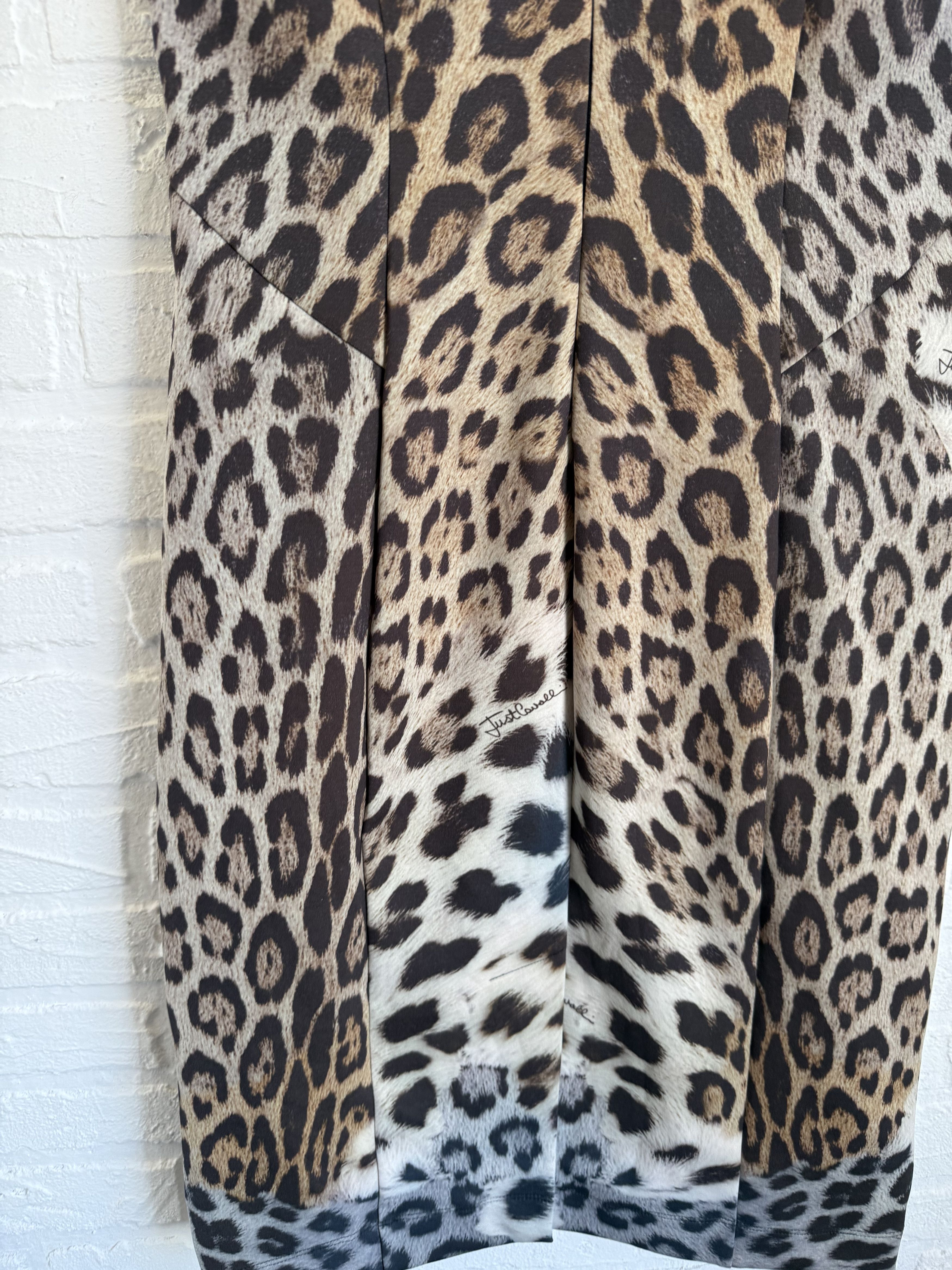 Just Cavalli Just Cavalli Leopard print dress Size M / US 6-8 / IT 42-44 - 5 Thumbnail