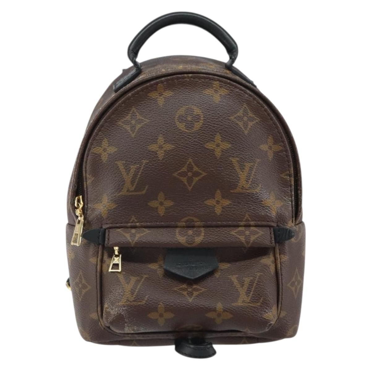 Louis Vuitton Louis Vuitton Palm Springs Backpack Monogram Canvas Size ONE SIZE - 1 Thumbnail