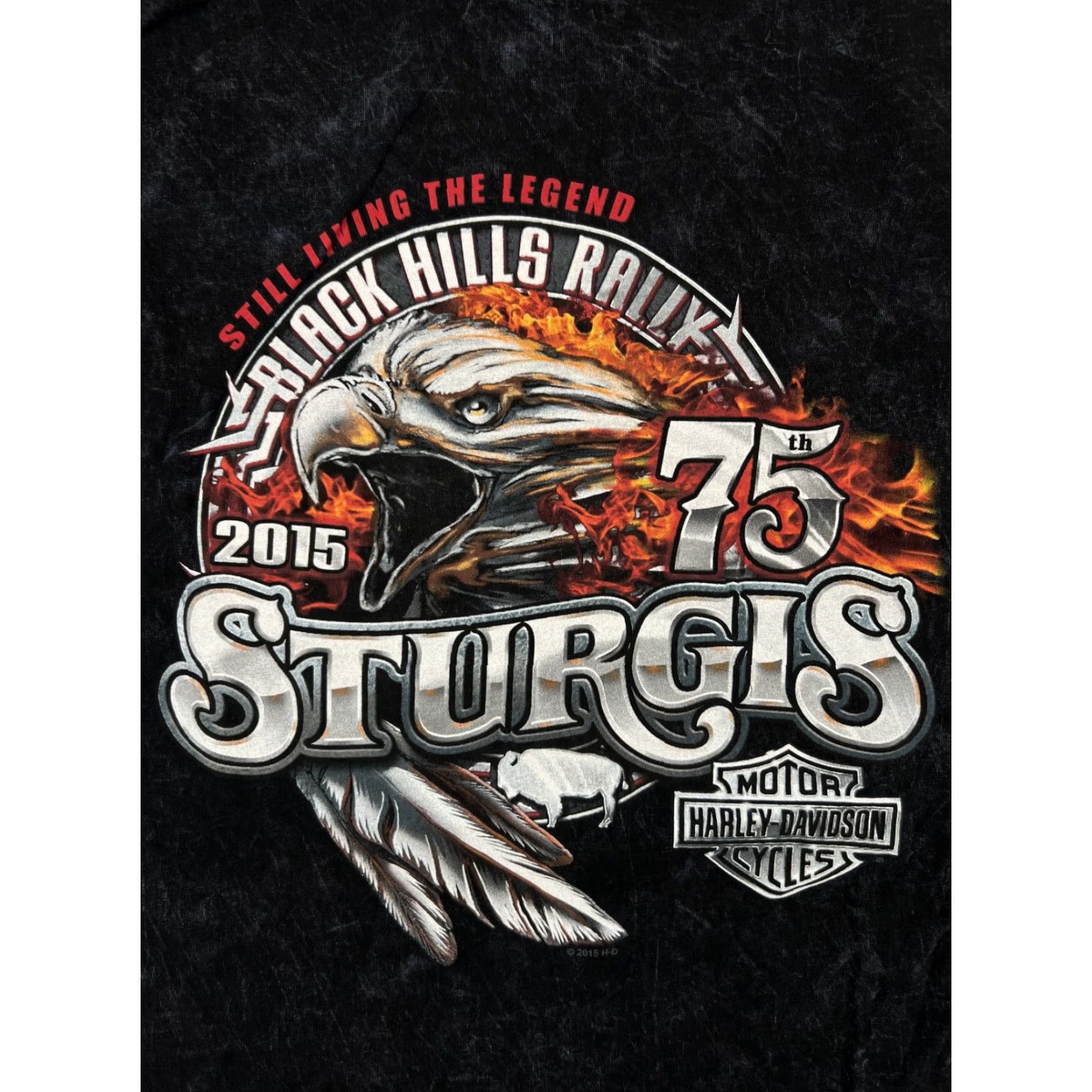 Harley Davidson VINTAGE Harley-Davidson Sturgis 75th Sleeveless Shirt Mens 2XL Black Rally Mt Rushmore Size US XXL / EU 58 / 5 - 4 Thumbnail