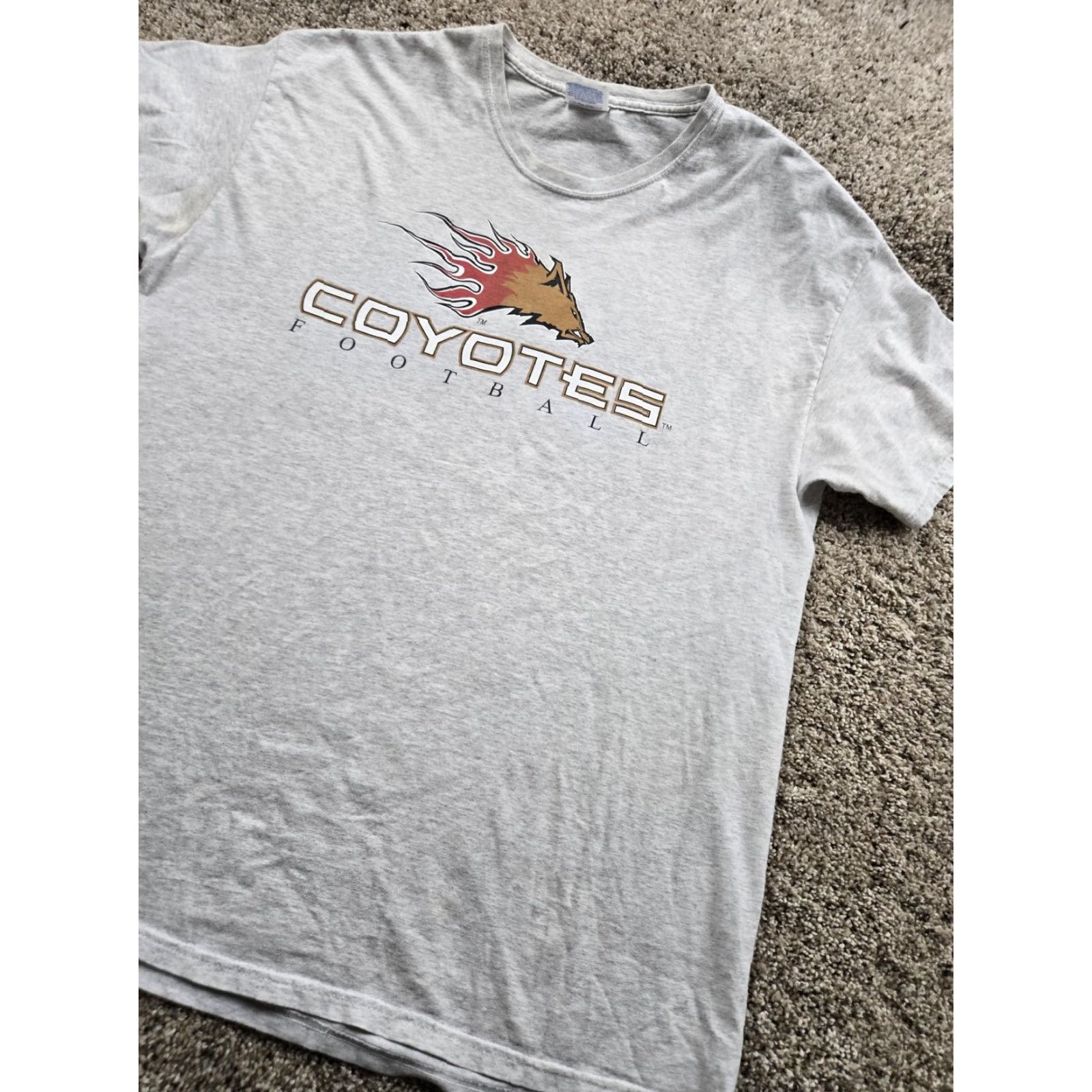 Hanes VINTAGE Central Valley Coyotes T Shirt Mens XL Gray AF2 Arena Football 2006 Size US XL / EU 56 / 4 - 2 Thumbnail