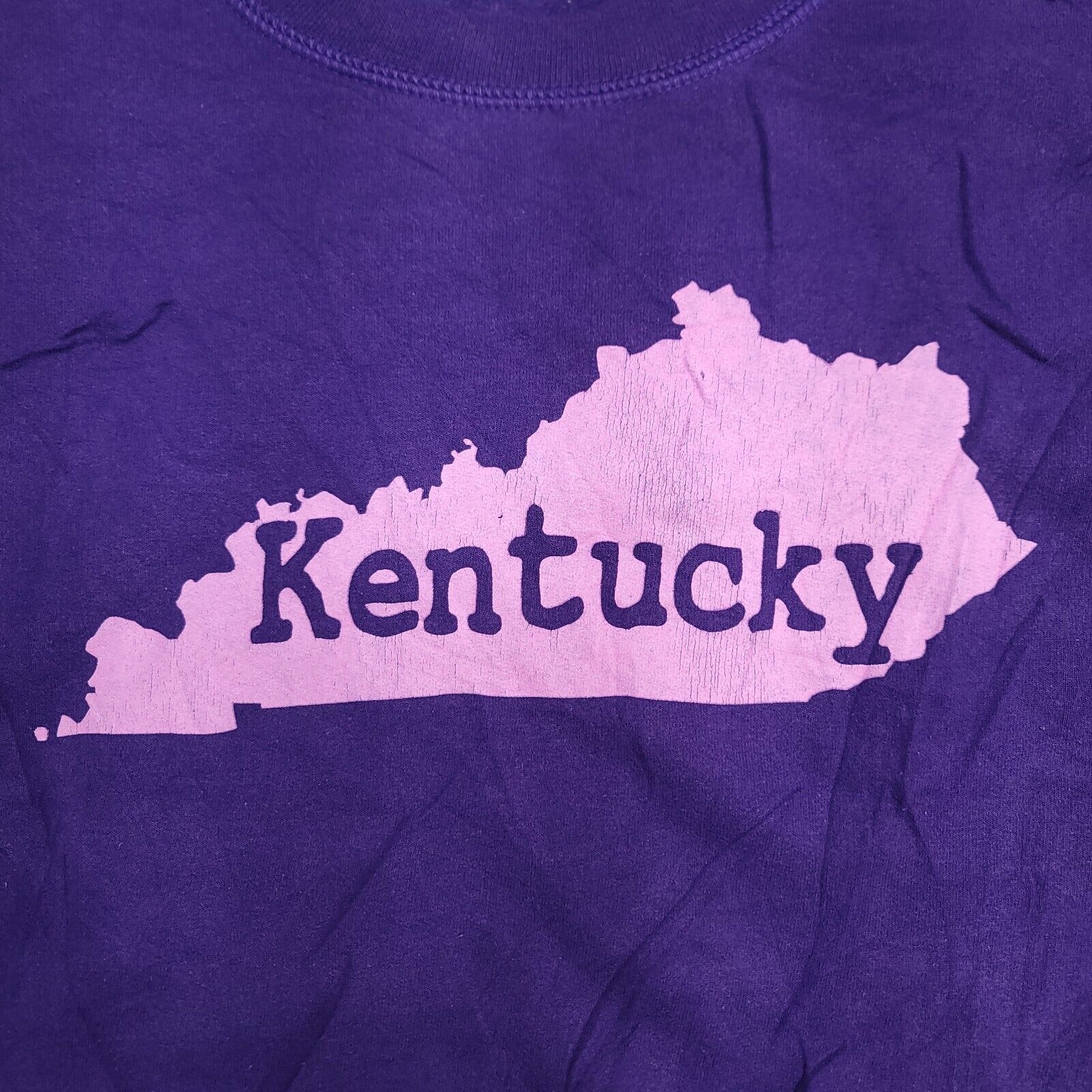 Gildan Kentucky Pullover Long Sleeve Sweatshirt Womens Size Large L Size L / US 10 / IT 46 - 3 Thumbnail