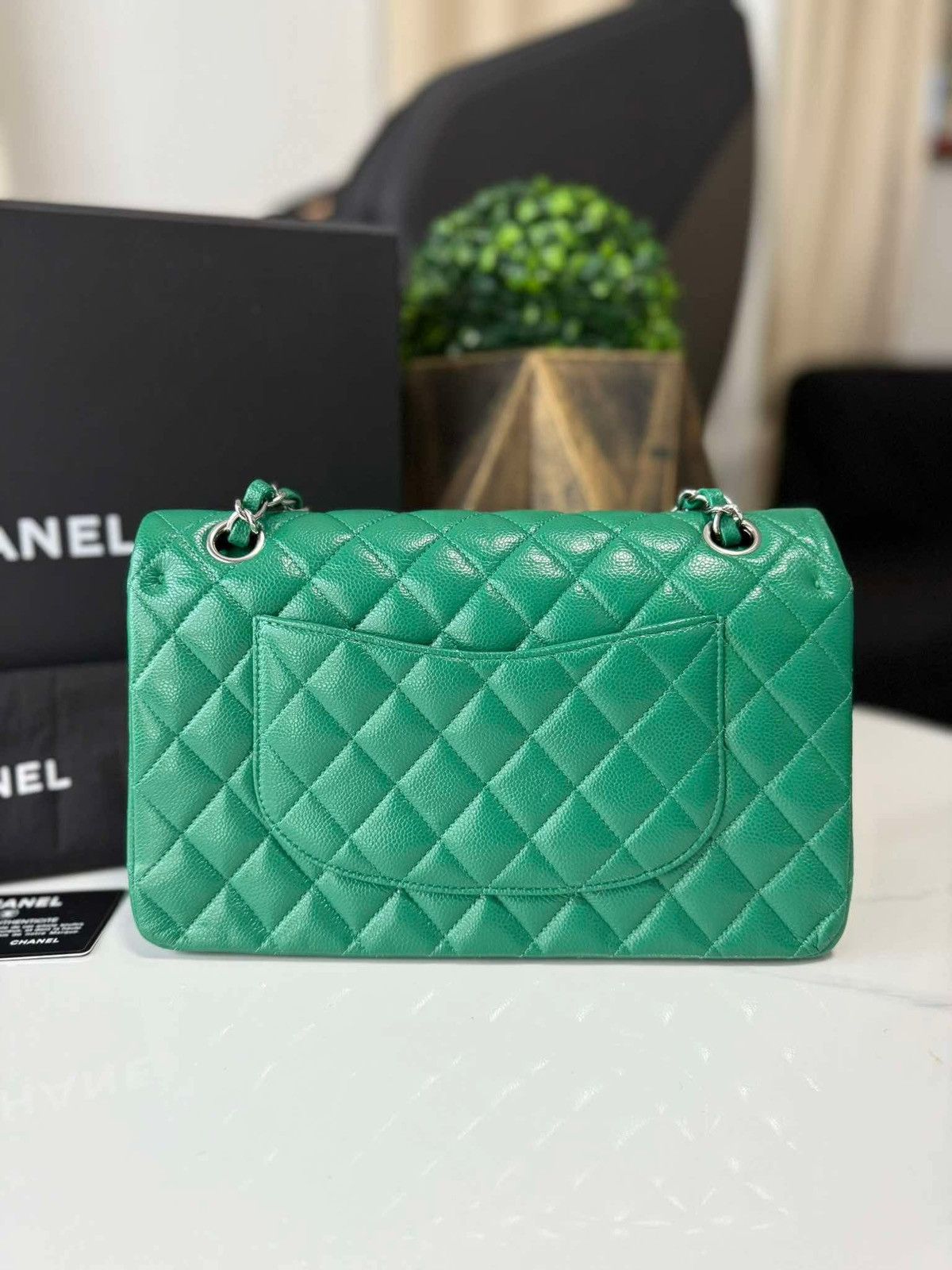 Chanel Chanel Double Flap Caviar Medium Size ONE SIZE - 9 Thumbnail