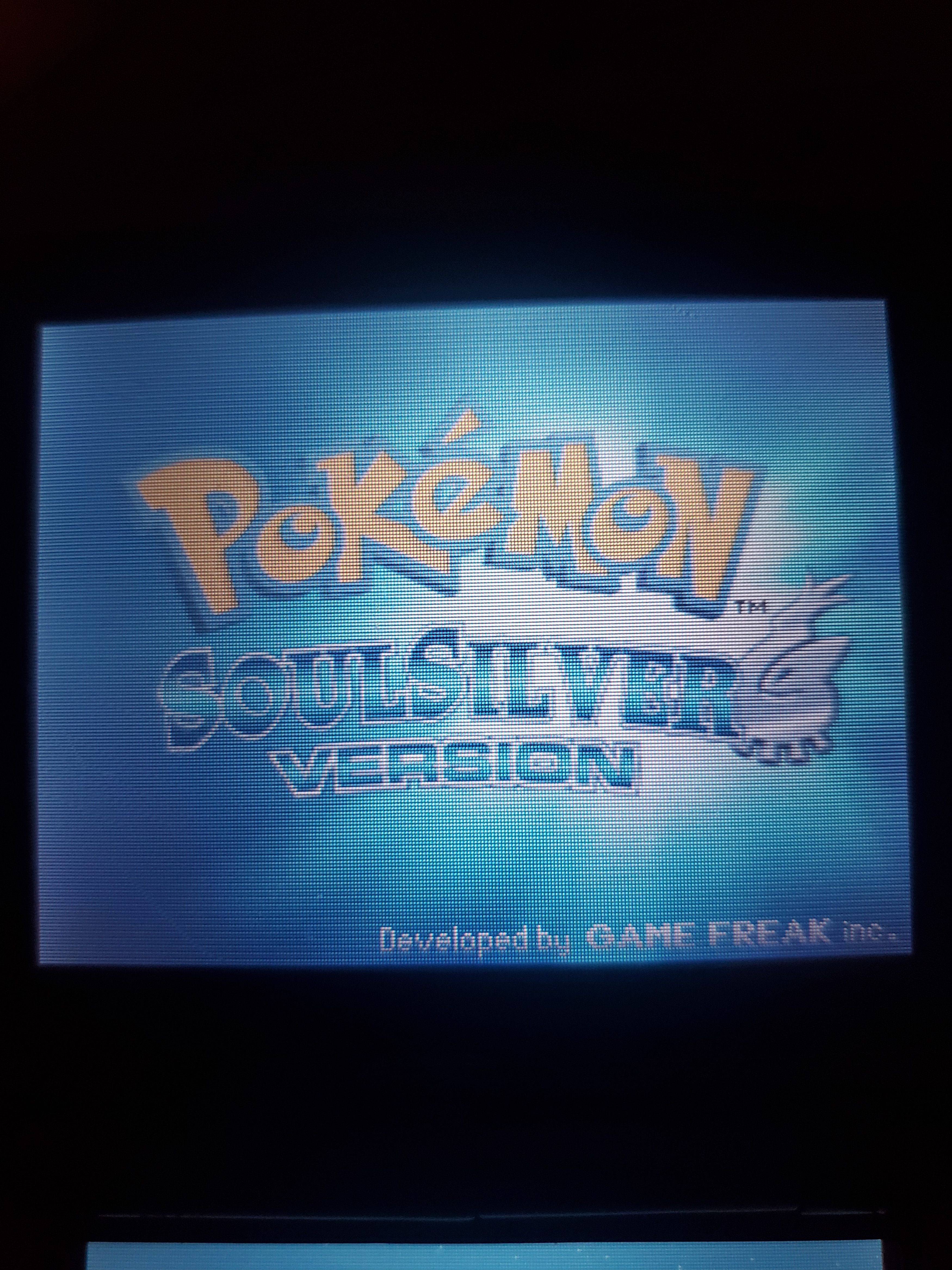 Nintendo Pokemon SoulSilver Nintendo DS Video Game Size ONE SIZE - 3 Thumbnail