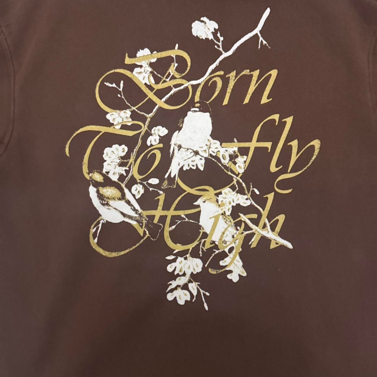 H&M Brown bird hm hoodie amazing Size US S / EU 44-46 / 1 - 3 Thumbnail