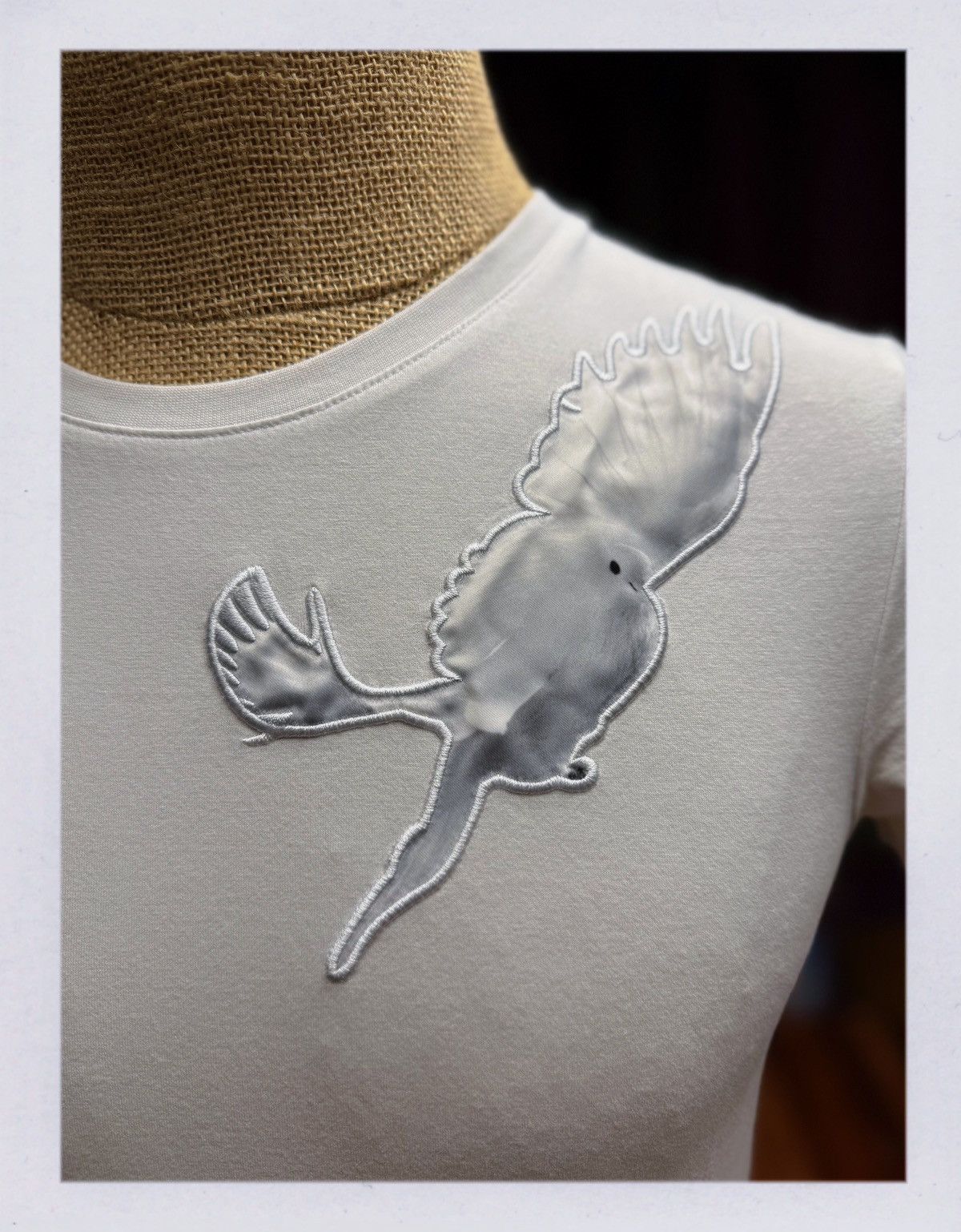 Other GXG White Graphic Tee – Birds & Feather Design – Size M Size US M / EU 48-50 / 2 - 3 Thumbnail