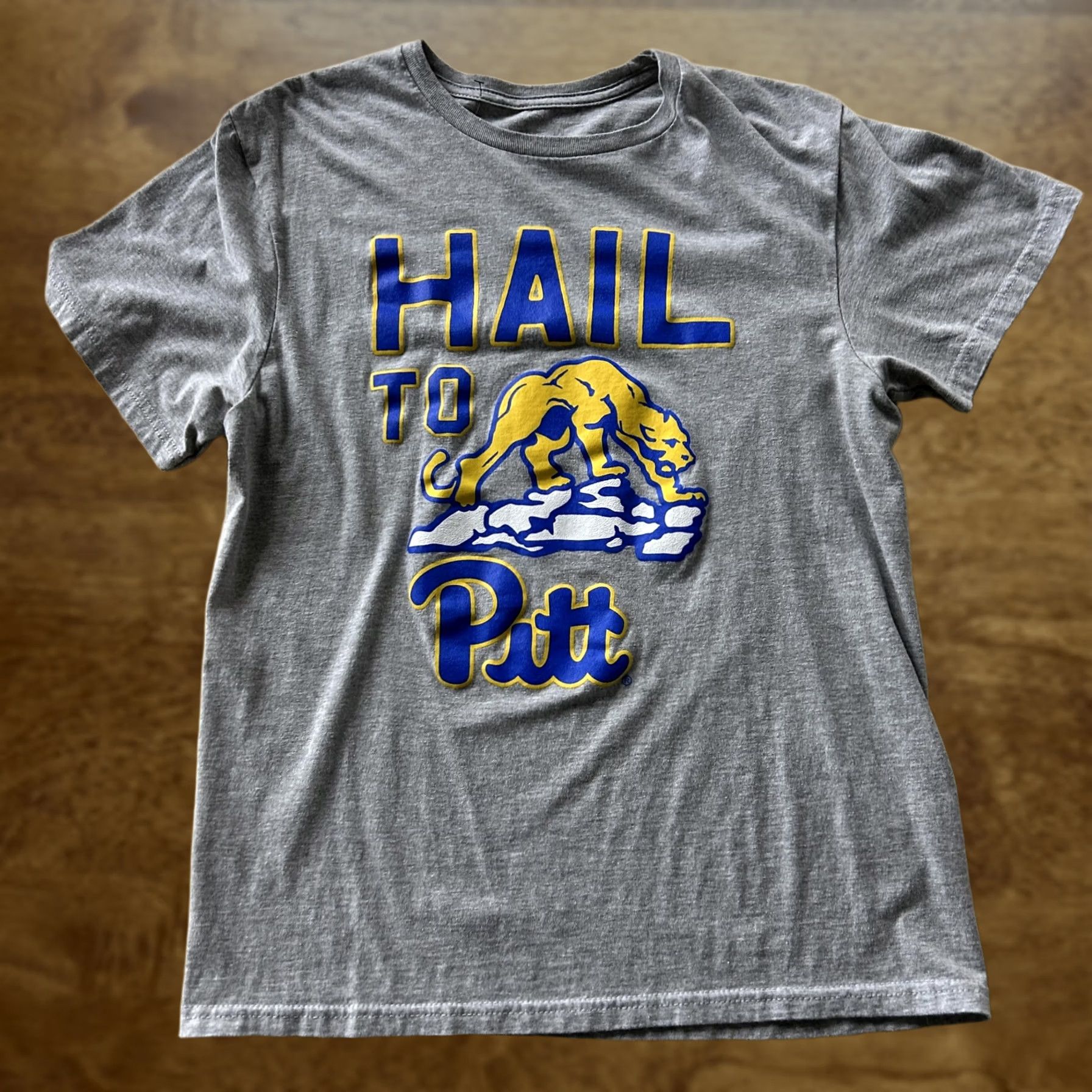 NCAA Pittsburgh University Pitt Panthers Shirt Mens Small Gray Tee Hail To Size US S / EU 44-46 / 1 - 1 Thumbnail