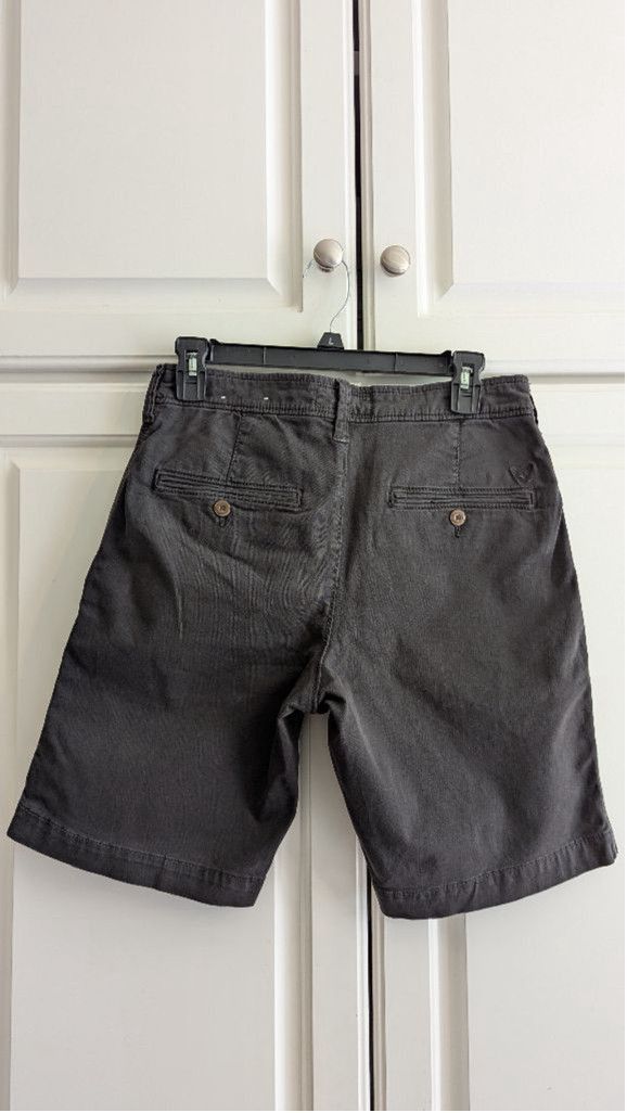 American Eagle Outfitters Men's American Eagle Classic Shorts Size 28 Gray Size US 28 / EU 44 - 2 Thumbnail