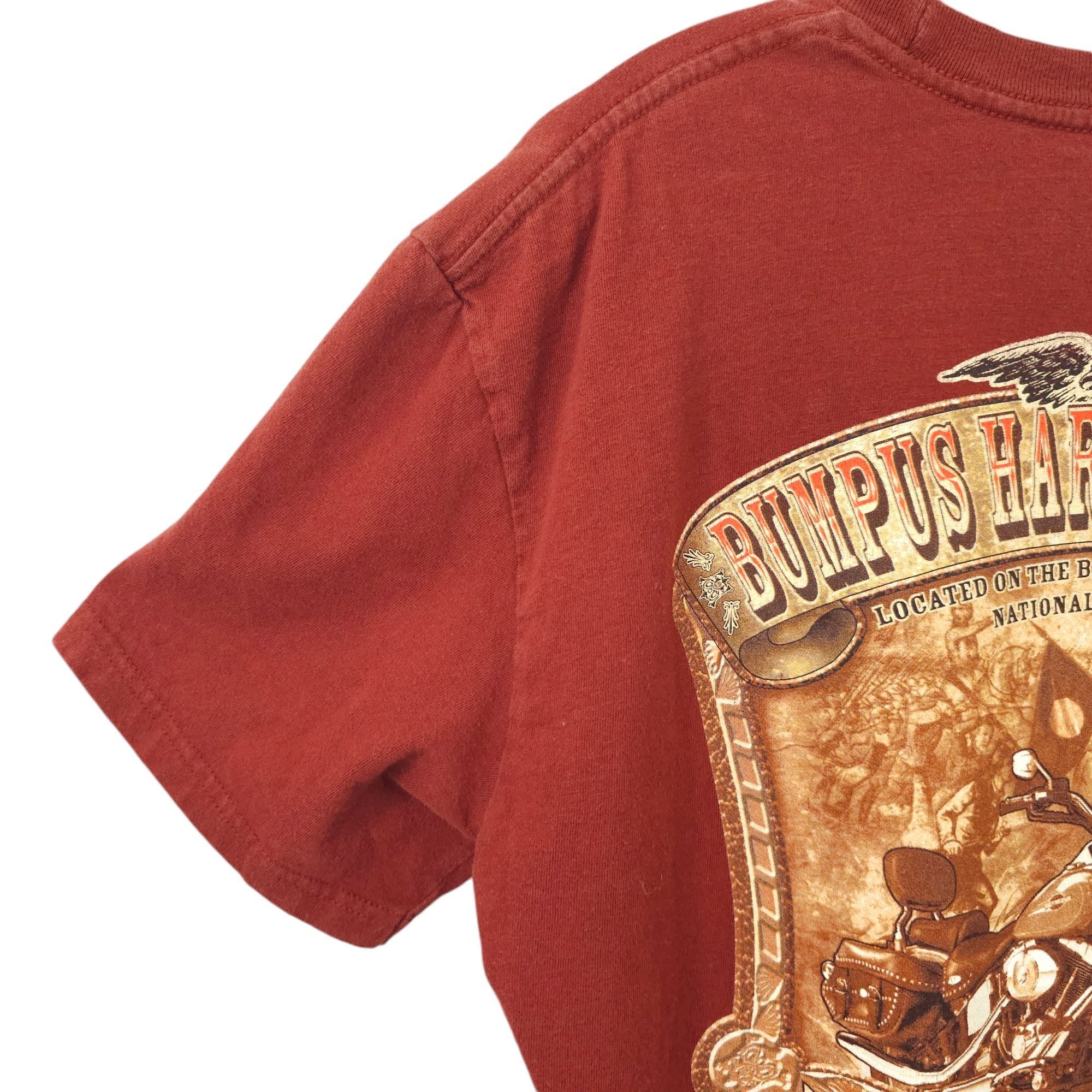 Harley Davidson Harley Davidson T Shirt Mens L Double Sided Ride To Live Size US L / EU 52-54 / 3 - 16 Thumbnail