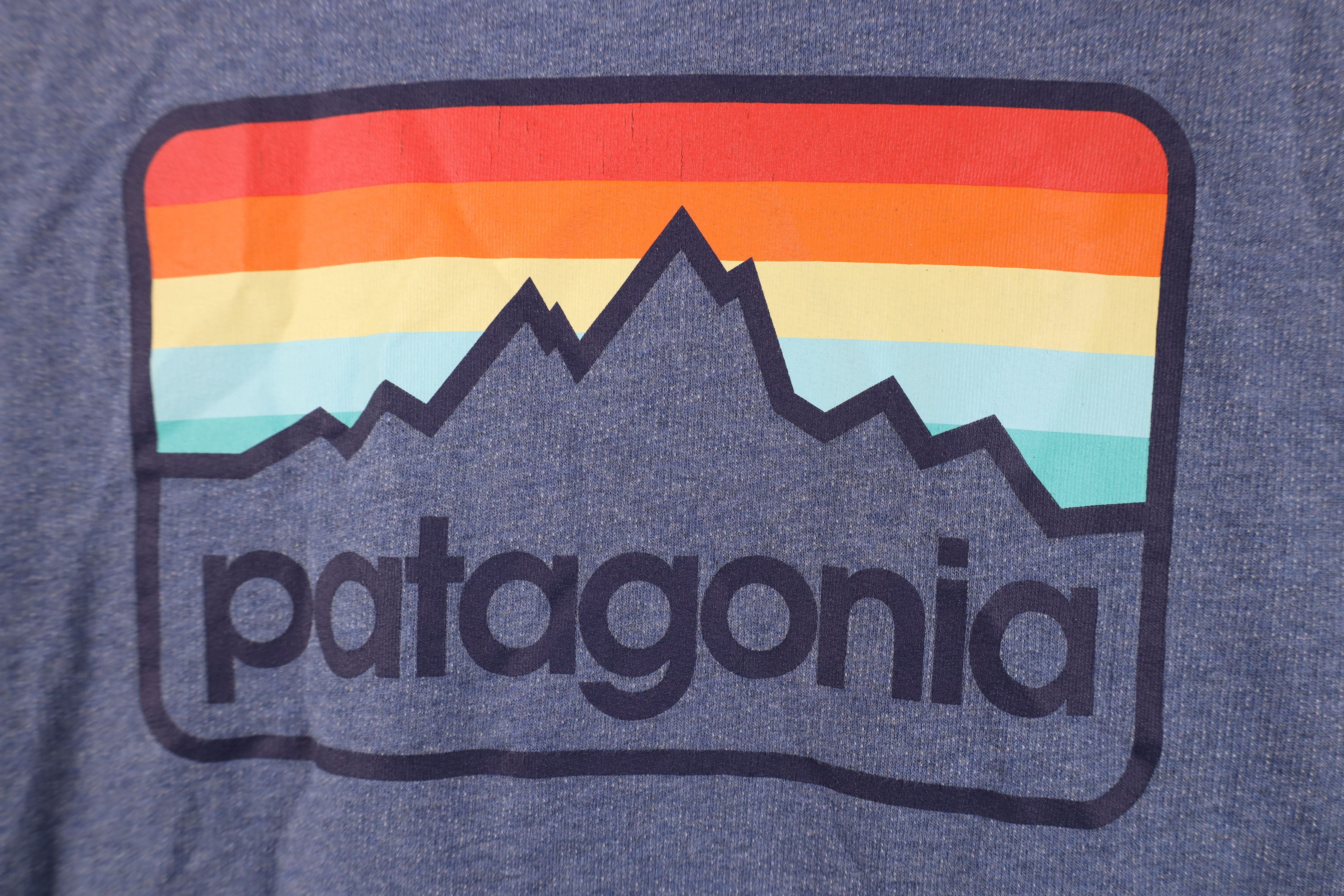 Patagonia Patagonia Cotton Retro Line Logo Hoodie Sweatshirt Blue Size US L / EU 52-54 / 3 - 4 Thumbnail