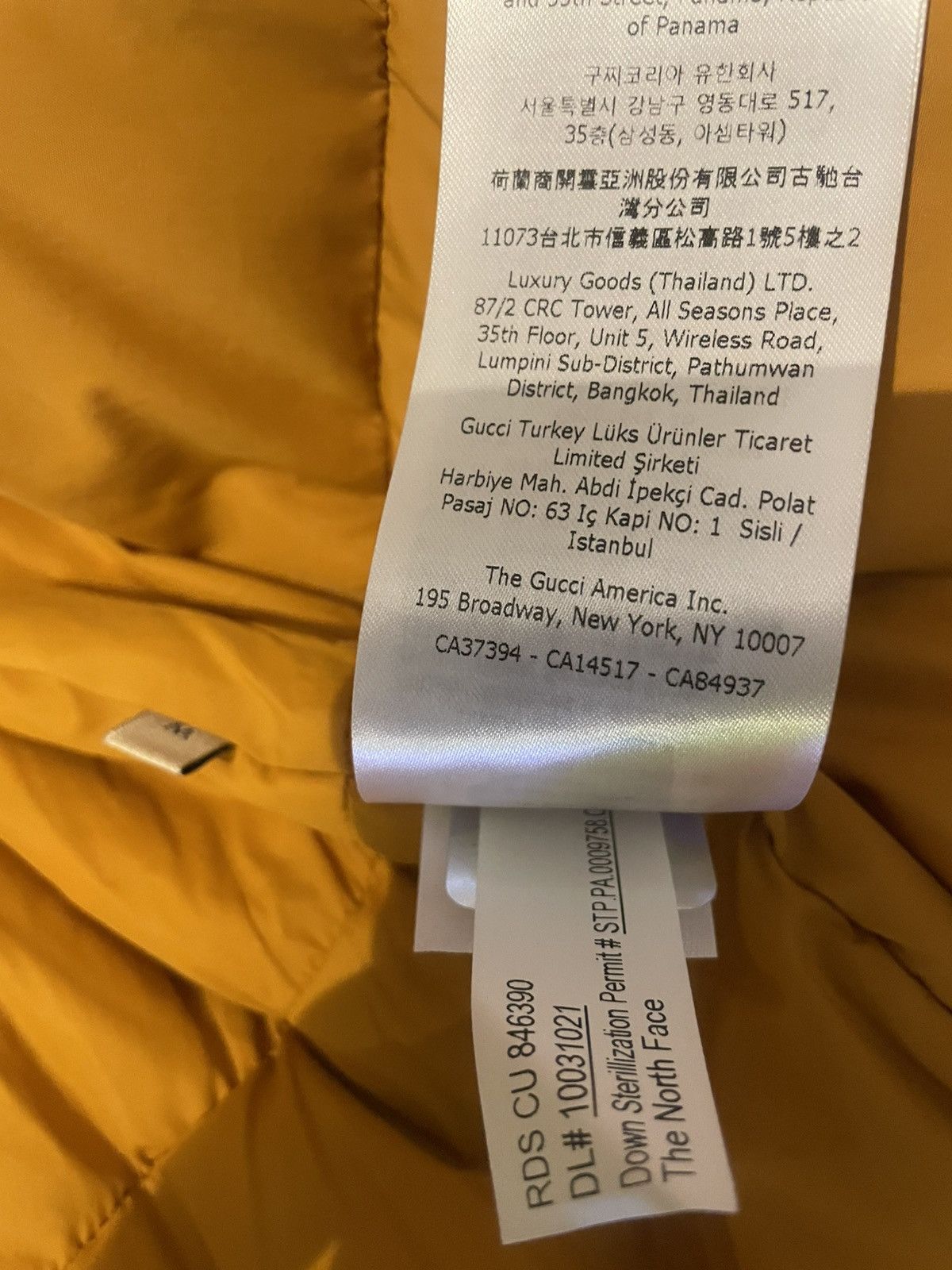 Gucci × The North Face The North Face / Gucci Winter Jacket Size US M / EU 48-50 / 2 - 14 Thumbnail