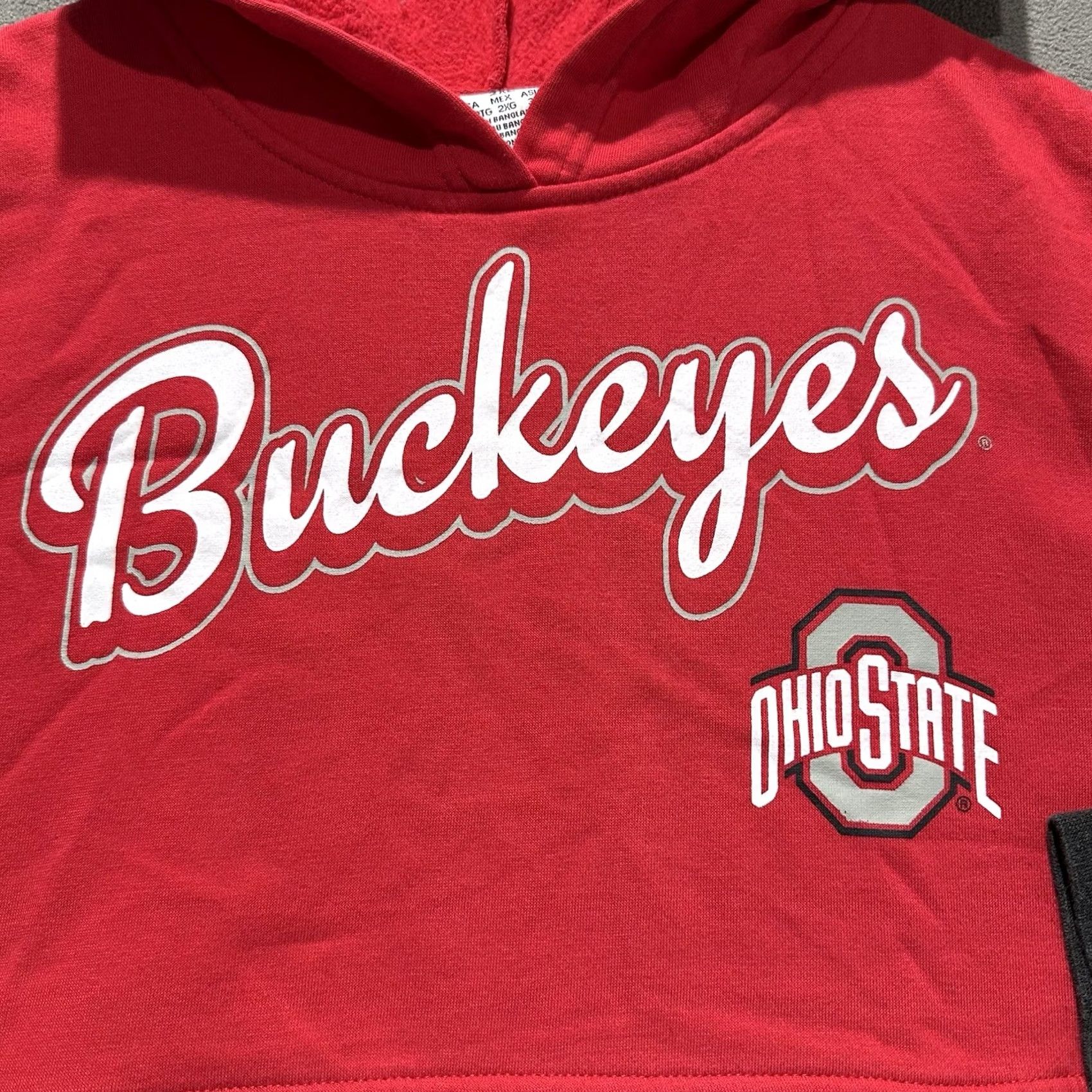 Champion Nike Ohio State Buckeyes Champion Sweatshirt Mens 2XL Gray Red Colorblock Hoodie EUC Size US XXL / EU 58 / 5 - 3 Thumbnail