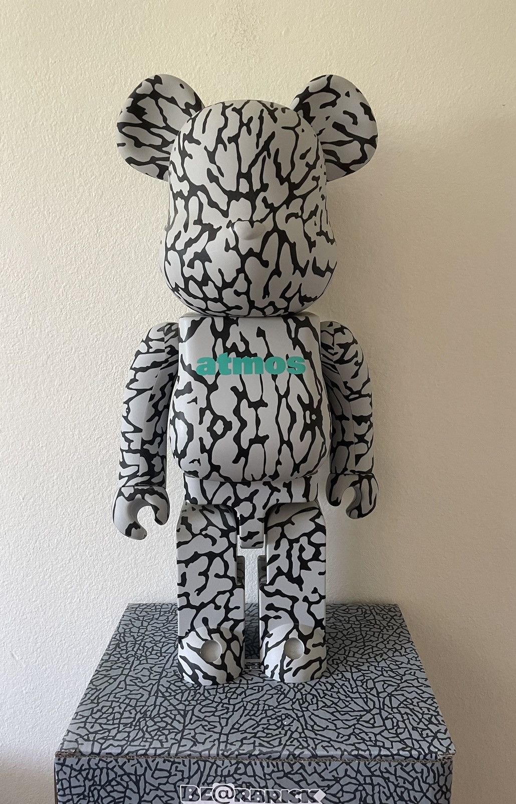 VCD Pachypodium Gracilius Var atmos Dalmatian Vinyl