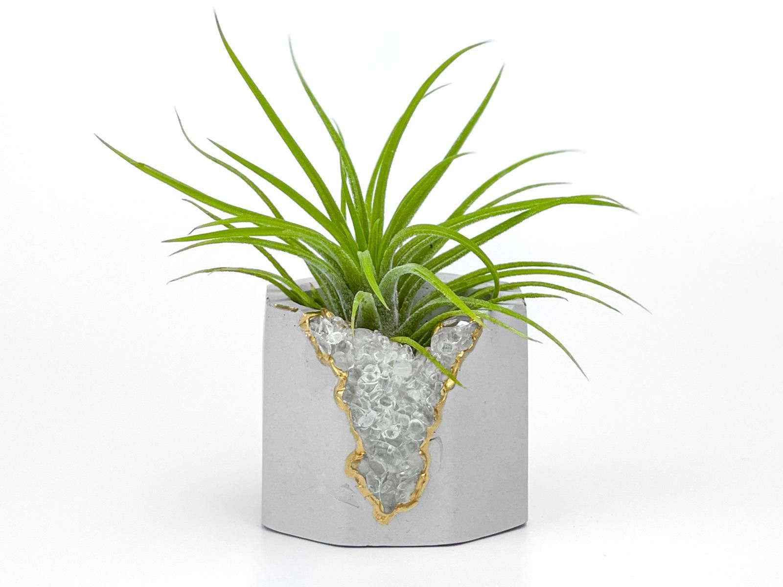 Other Clear Quartz Crystal Planter Small Succulent Pot tillandsia Size ONE SIZE - 4 Thumbnail