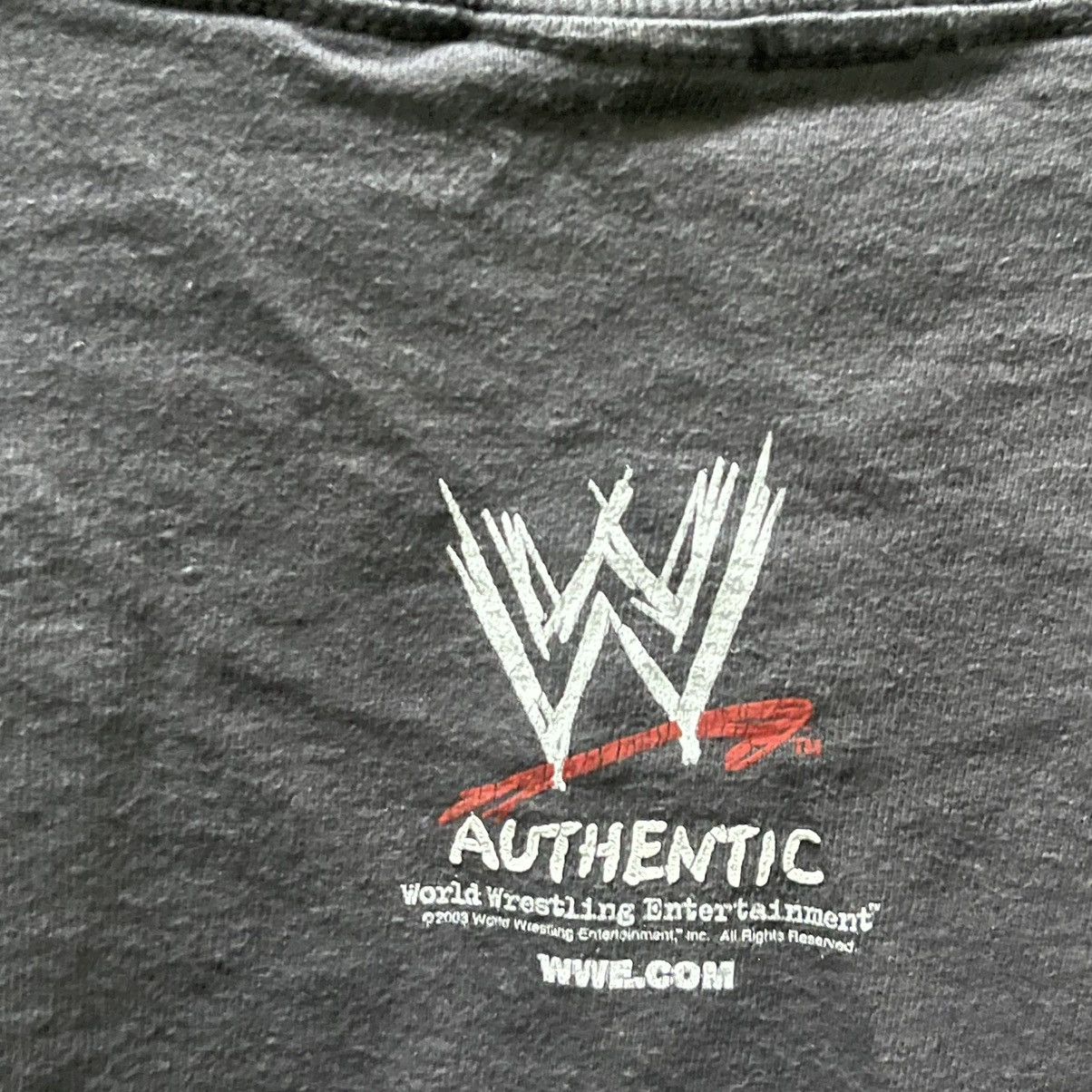WWE Rare Vintage Y2K Rob Van Dam Dragon Skeleton Tees WWE Size US L / EU 52-54 / 3 - 9 Thumbnail