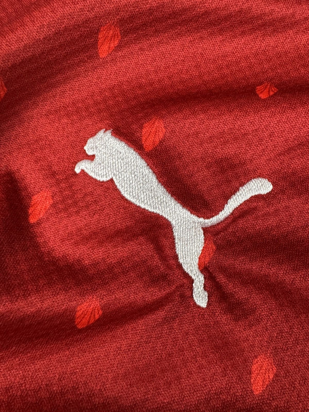 Puma 2020-2021 Puma Ostereich Austria football soccer jersey Size US L / EU 52-54 / 3 - 10 Thumbnail