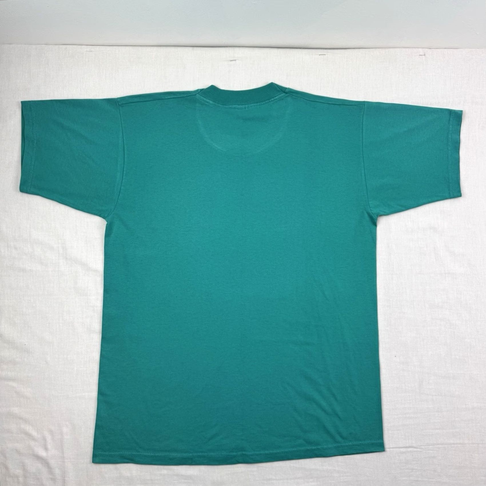 Fruit Of The Loom VINTAGE DeBary Hall Florida T Shirt Men L Blue Cotton Polyester 90s History Nature Home Shirt Mens Size US L / EU 52-54 / 3 - 8 Thumbnail