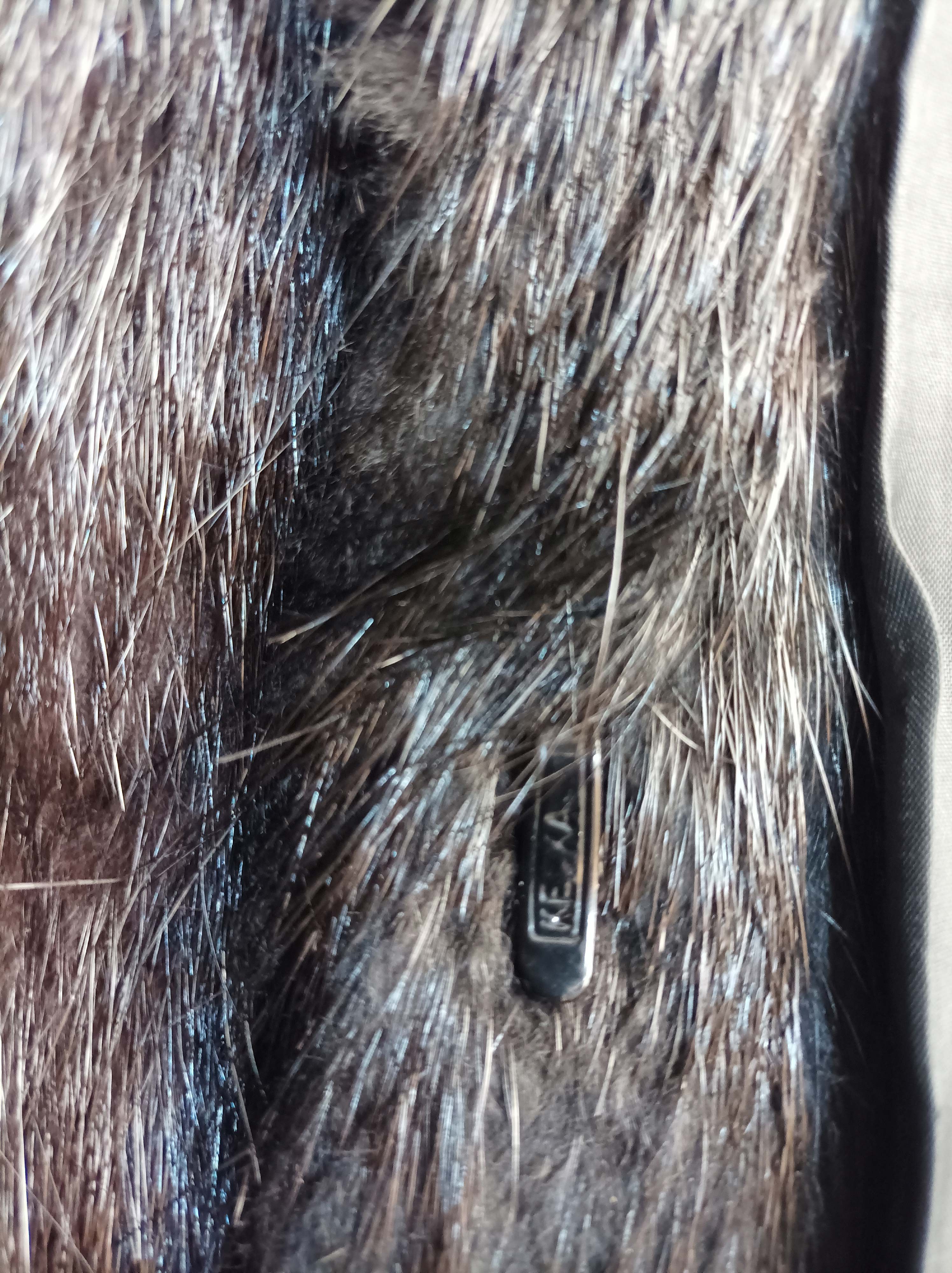 Other Vintage KESKA Genuine Nutria Fur Long Coat - Size XL/XXL Size XL / US 12-14 / IT 48-50 - 6 Thumbnail