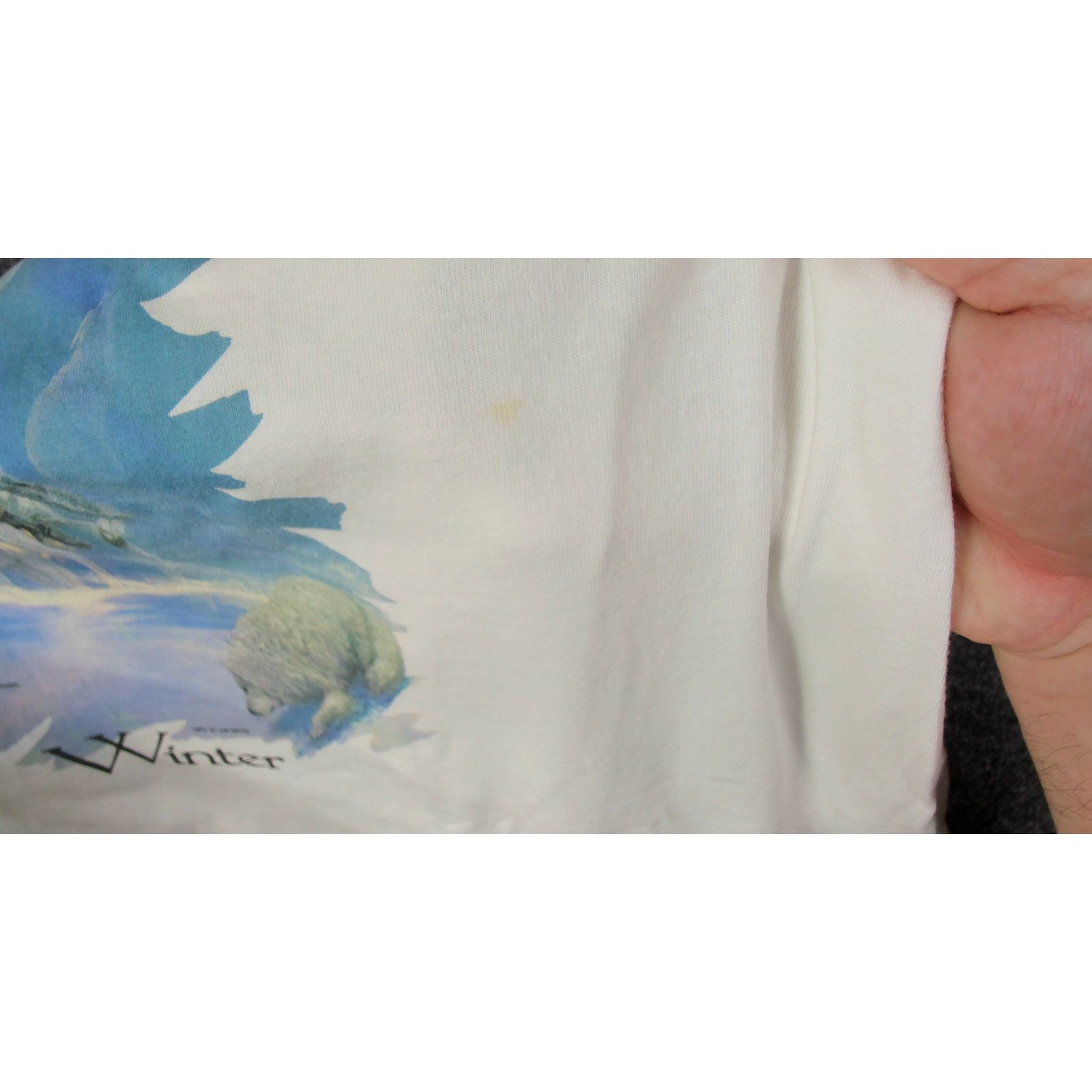 Anvil Vintage | 90s Hermon Adams "Winter" Single Stitch Art Tee Size US XL / EU 56 / 4 - 9 Thumbnail