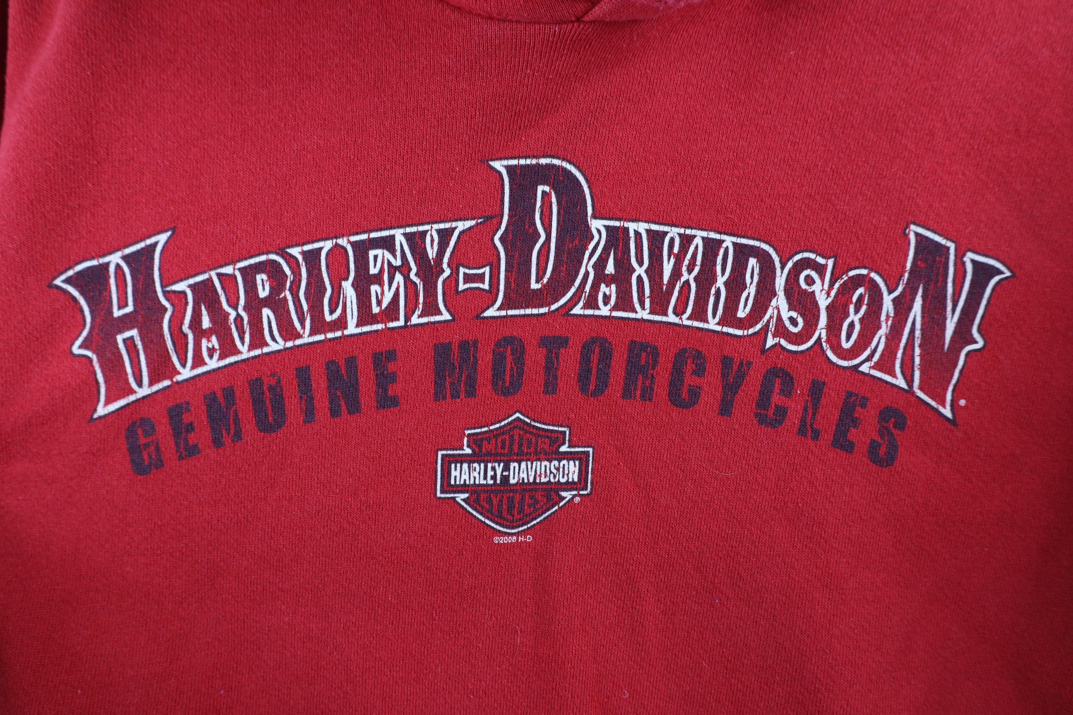 Harley Davidson Vintage Y2K Harley Davidson Fire Flames Hoodie Sweatshirt Size ONE SIZE - 5 Thumbnail