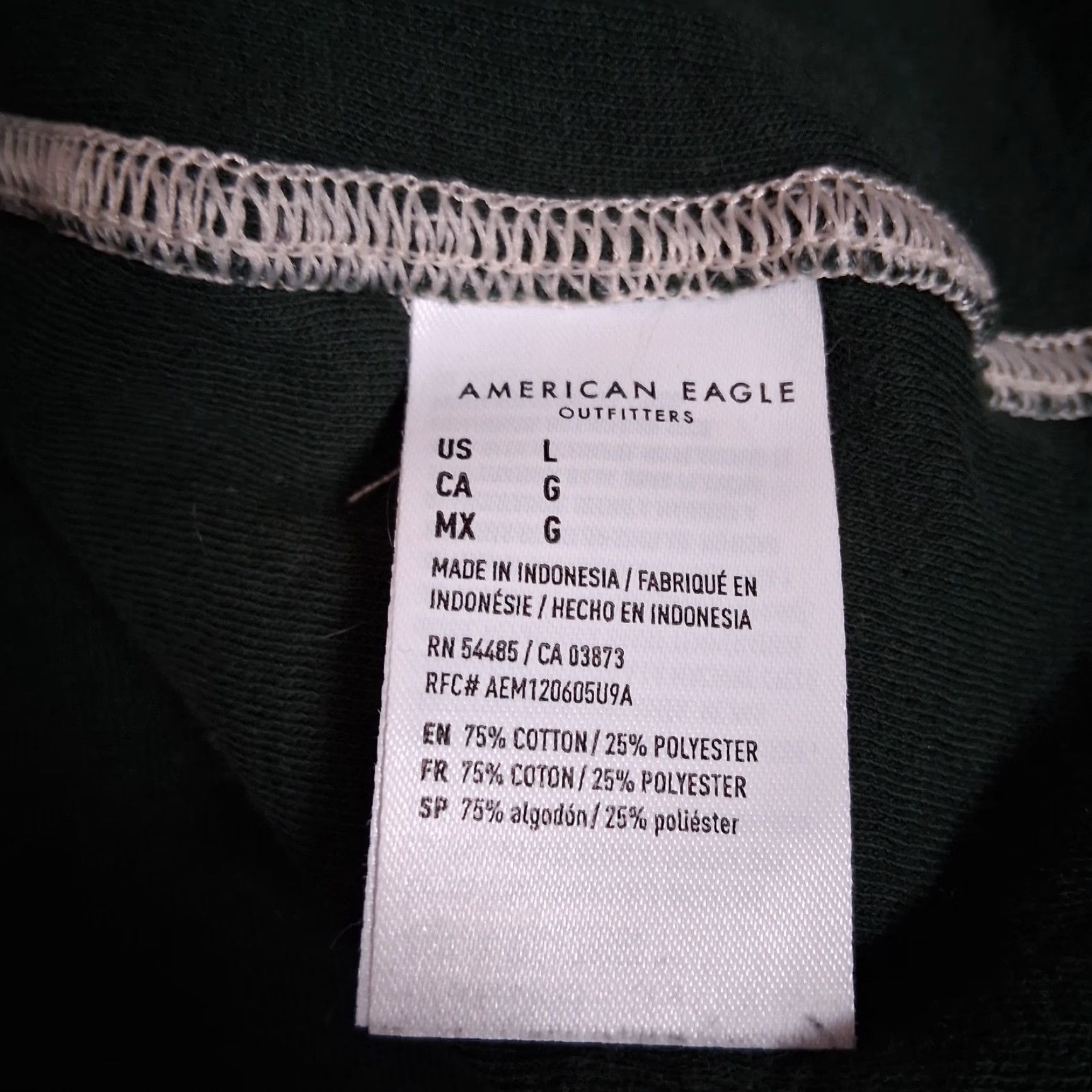 American Eagle Outfitters American Eagle Shirt Men Large Green Heather Burnout Cozy Long Sleeve Henley Size US L / EU 52-54 / 3 - 7 Thumbnail