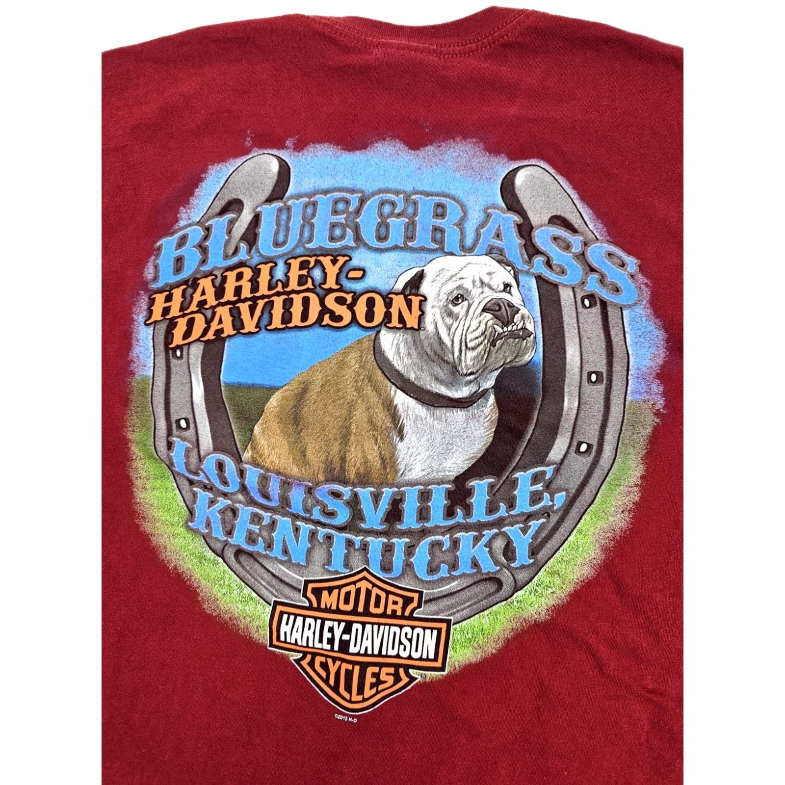 Harley Davidson Harley-Davidson Bluegrass Louisville KY English Bulldog Shirt Men XL Motorcycle Shirt Size US XL / EU 56 / 4 - 2 Thumbnail