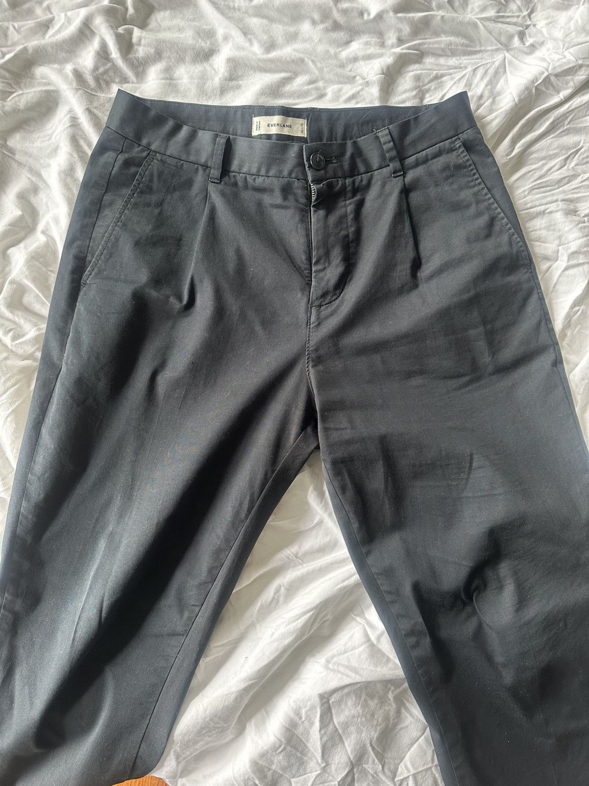Everlane Pleated Air Chinos Size US 30 / EU 46 - 2 Thumbnail