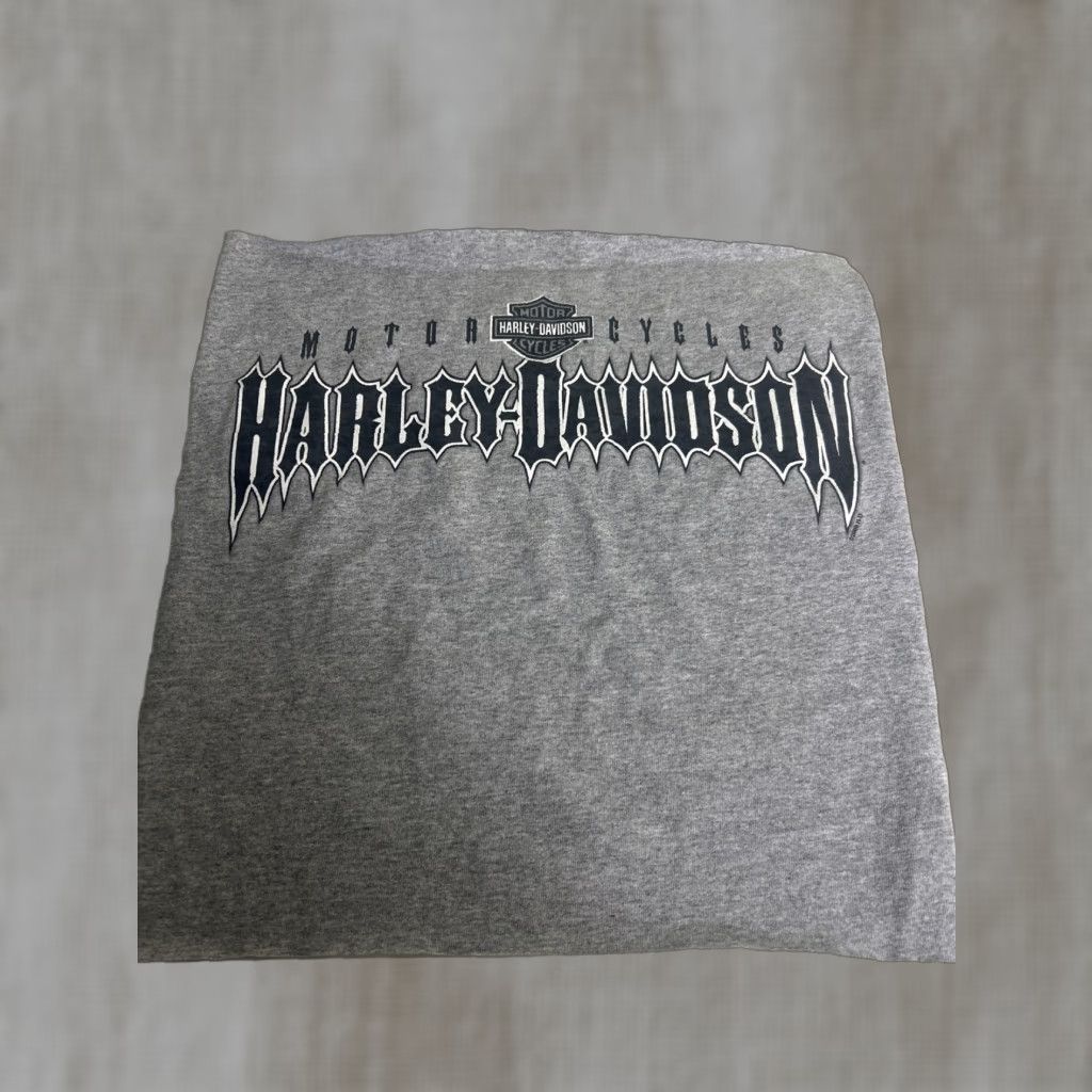 Harley Davidson Harley-Davidson Cutout From T-Shirt Gray 13x13 2008 Mens One Size Regular Shirt Size US M / EU 48-50 / 2 - 1 Thumbnail