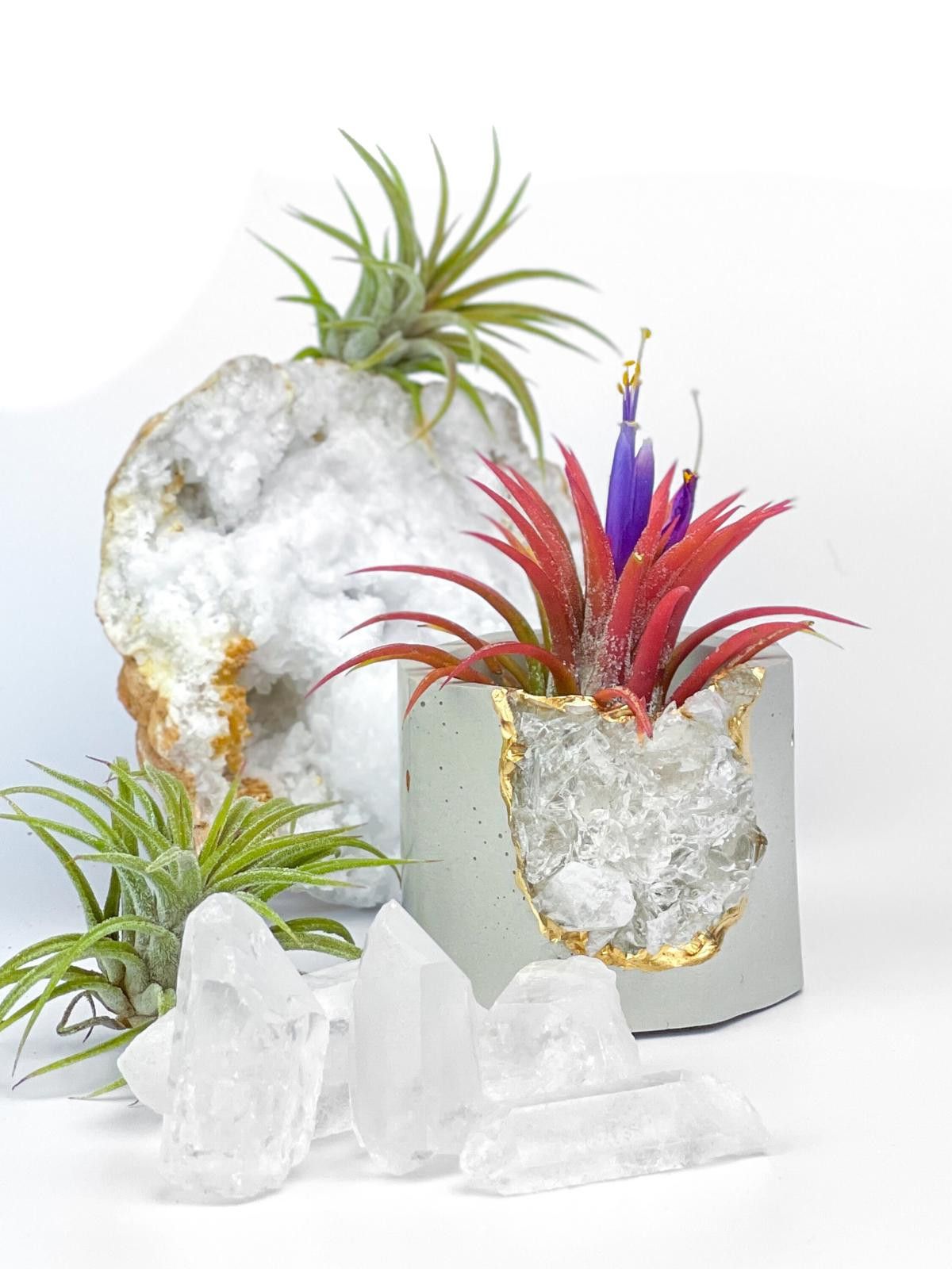 Other Raw Clear Quartz Crystal Planter Air Plant Holder Display Size ONE SIZE - 4 Thumbnail