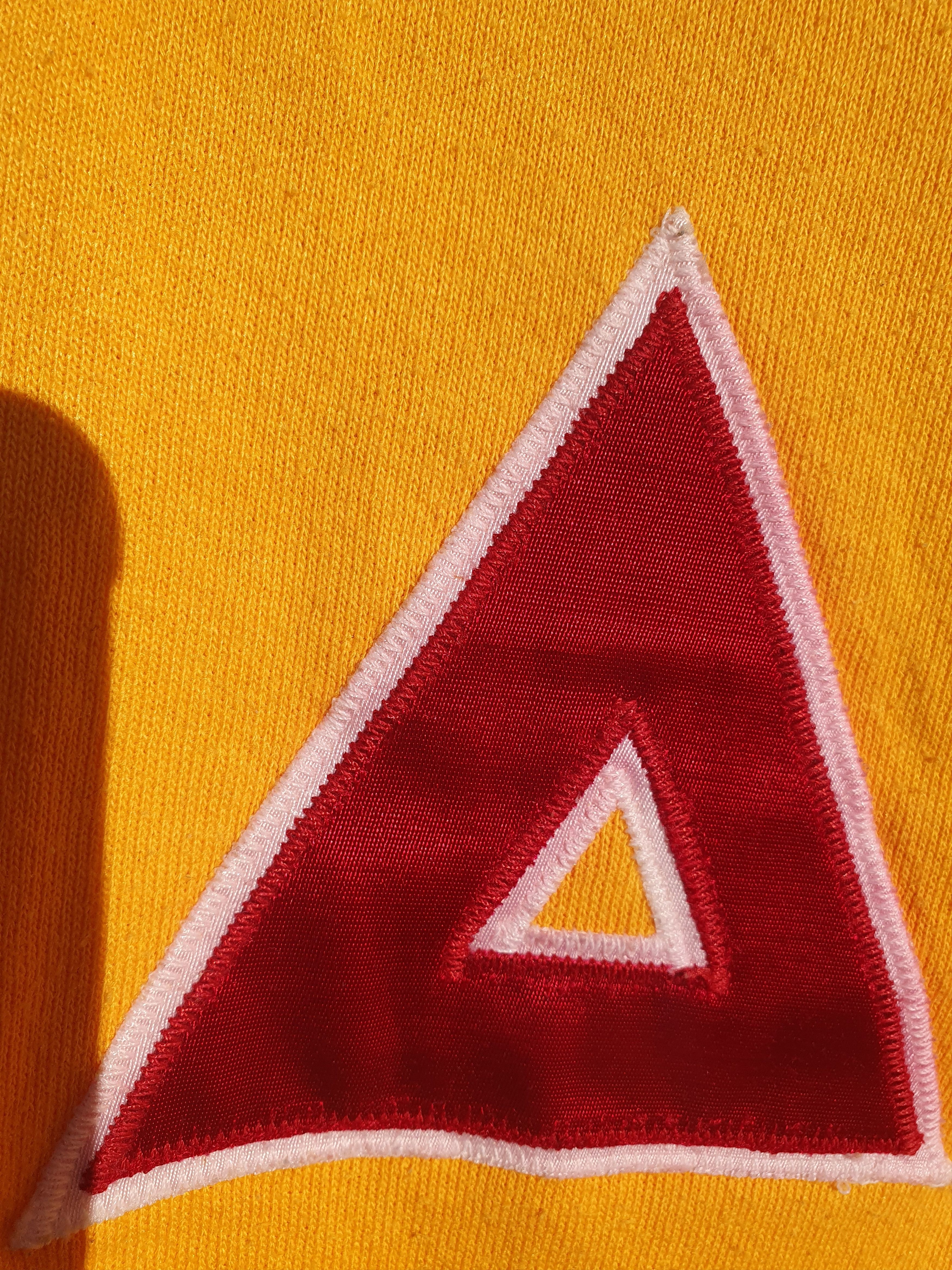 Russell Athletic × Vintage Vintage Russel Athletic Delta Chi Made in USA Sweatshirt L Size US L / EU 52-54 / 3 - 4 Thumbnail