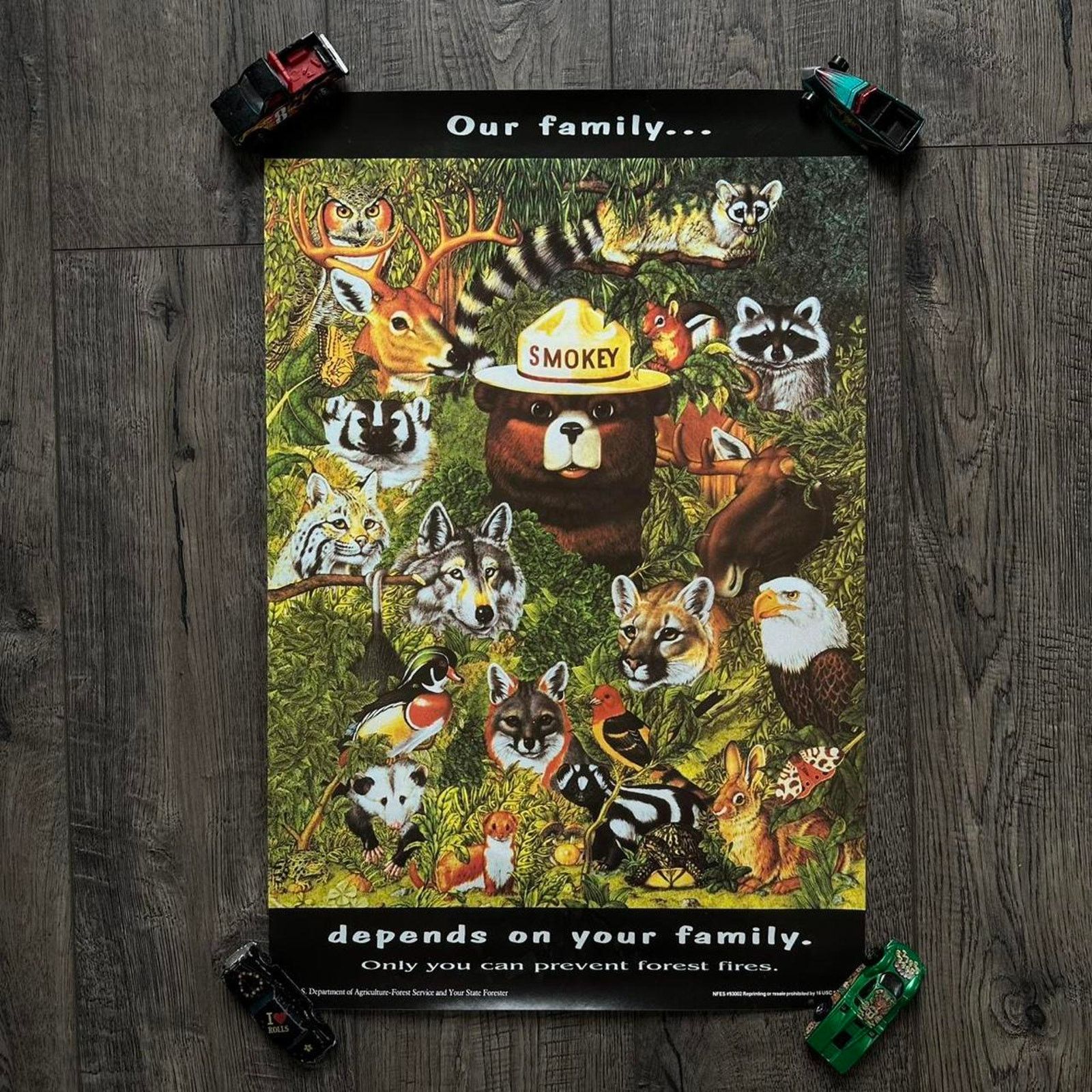 Vintage Vintage Smokey The Bear Wildlife Fire Prevention Poster Size ONE SIZE - 1 Thumbnail