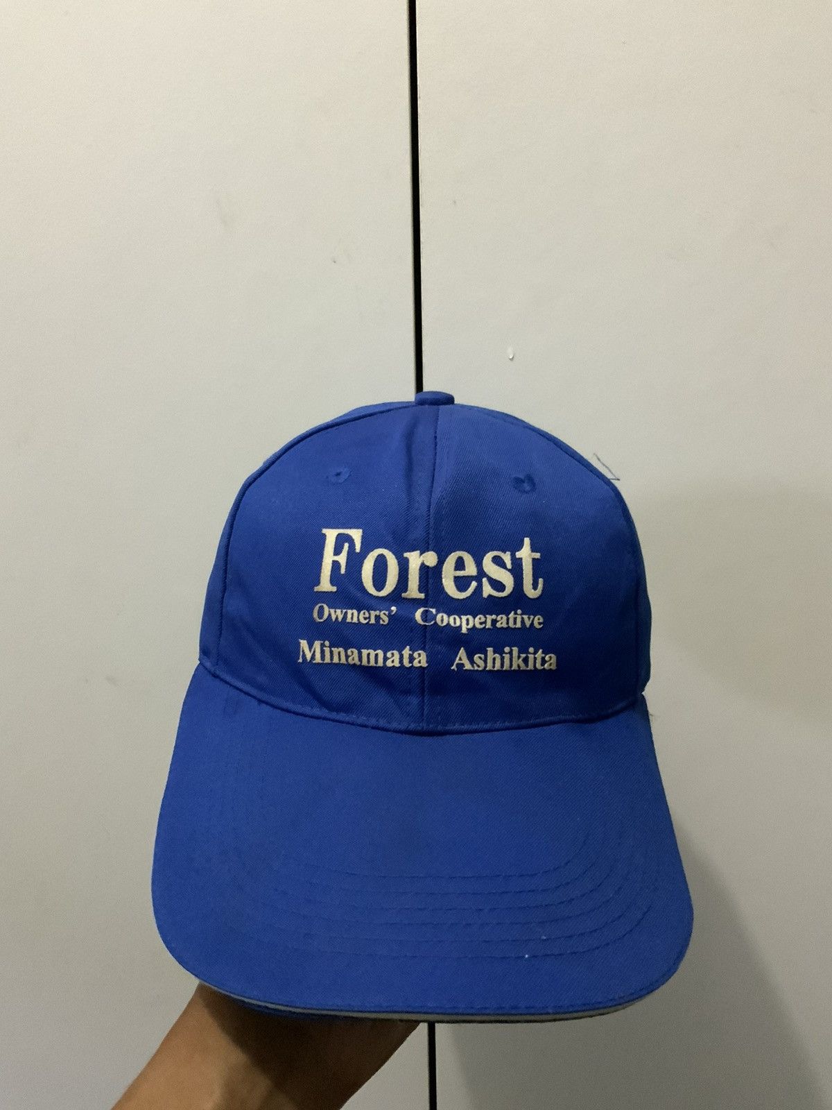 Japanese Brand Forest Minamata Ashikita Blue Hat Cap Size ONE SIZE - 1 Thumbnail