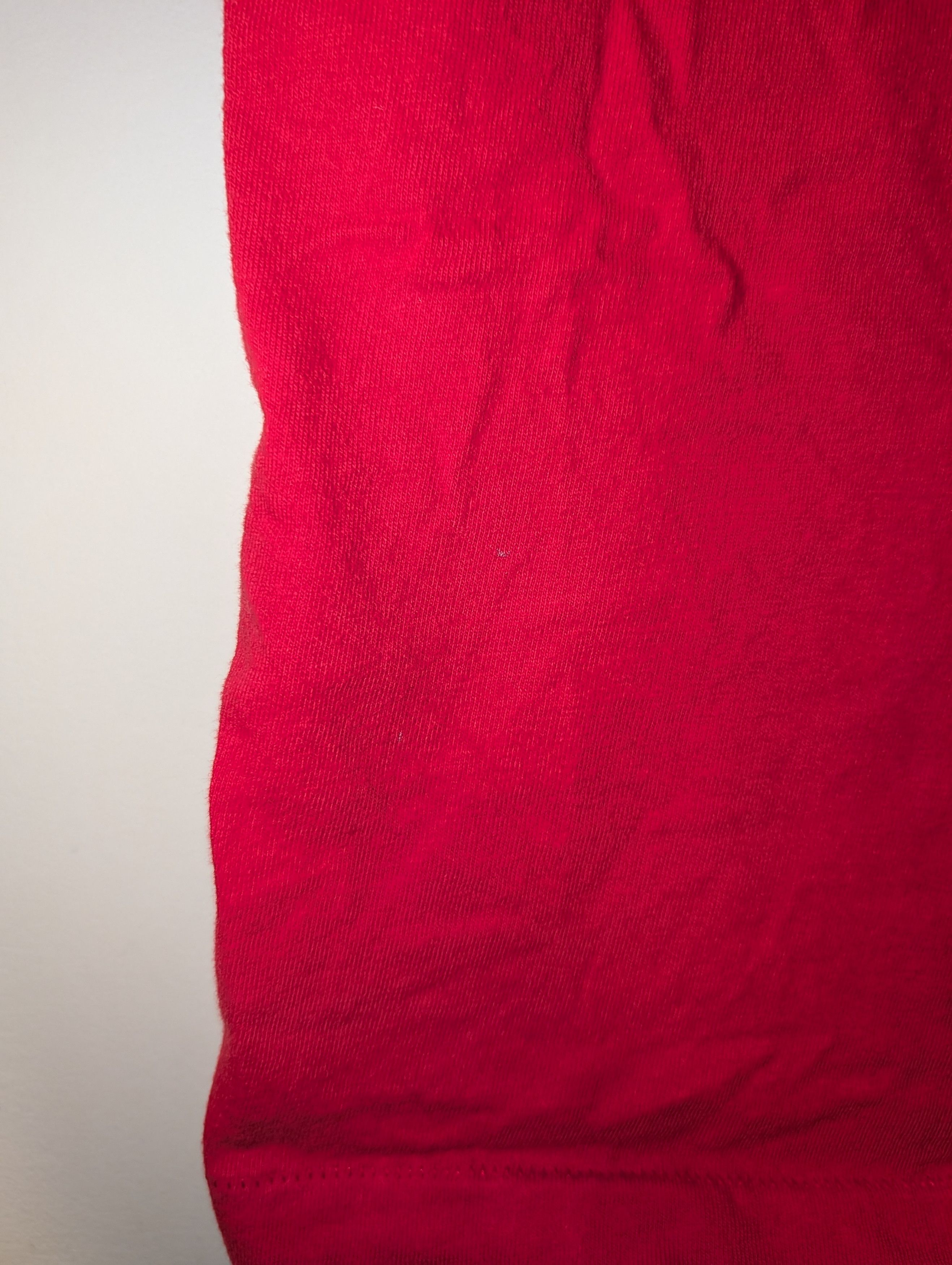 Hanes Vintage Hanes Body Champions Gym Shirt Bloomsburg Fitness Size US L / EU 52-54 / 3 - 4 Thumbnail