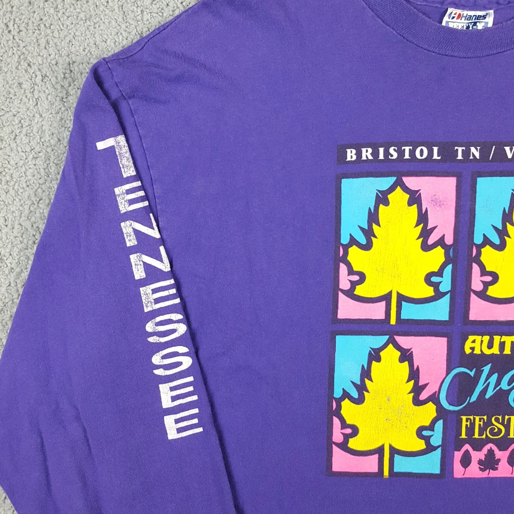 Hanes Vintage Hanes 90s T-Shirt Men XL Autumn Festival Nature Cotton Purple Y2K Vintage Outdoor Market Size US XL / EU 56 / 4 - 5 Thumbnail