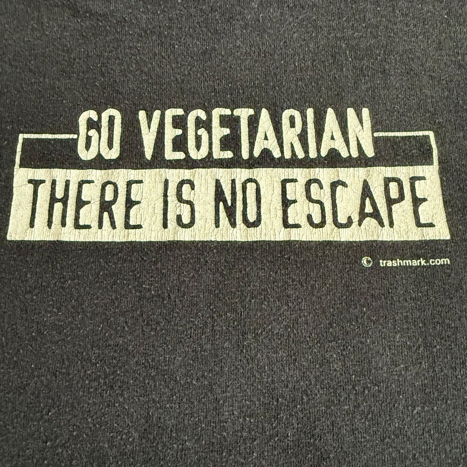 Band Tees Good Riddance Band Go Vegetarian Vintage Shirt Size XL Size US XL / EU 56 / 4 - 5 Thumbnail