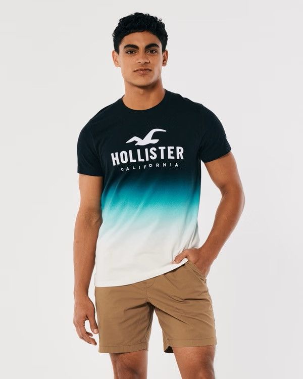 Hollister Hollister Ombré Icon Crew T-Shirt Bundle Size US S / EU 44-46 / 1 - 9 Thumbnail