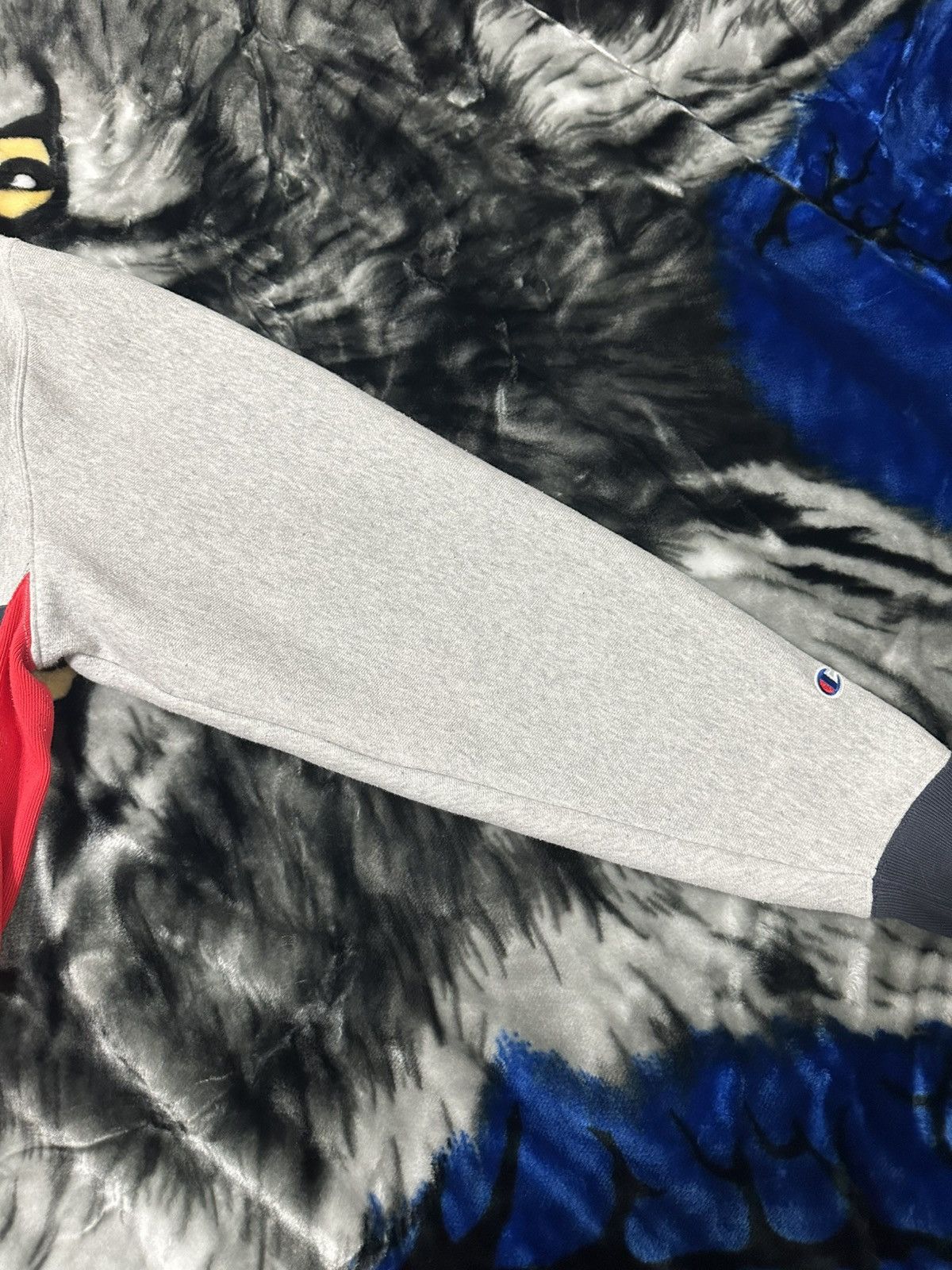 Champion × Vintage Champion Reverse Weave hoodie Size US M / EU 48-50 / 2 - 2 Thumbnail