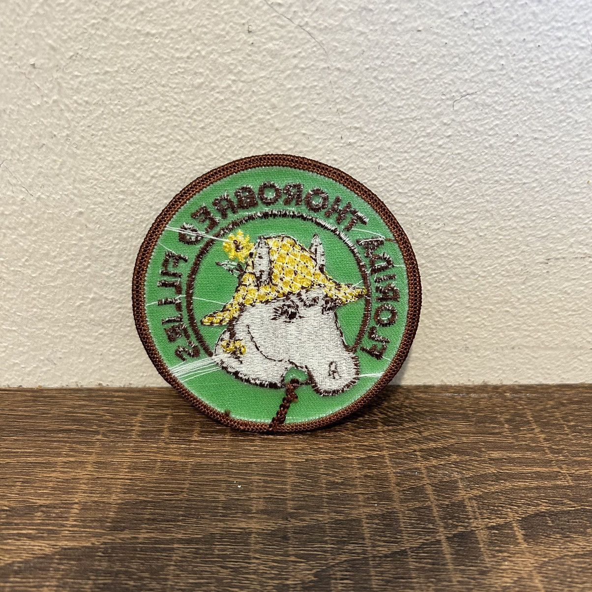 Vintage Vintage Florida Fillies Horse Patch Thoroughbred Sew Patch Size ONE SIZE - 2 Thumbnail